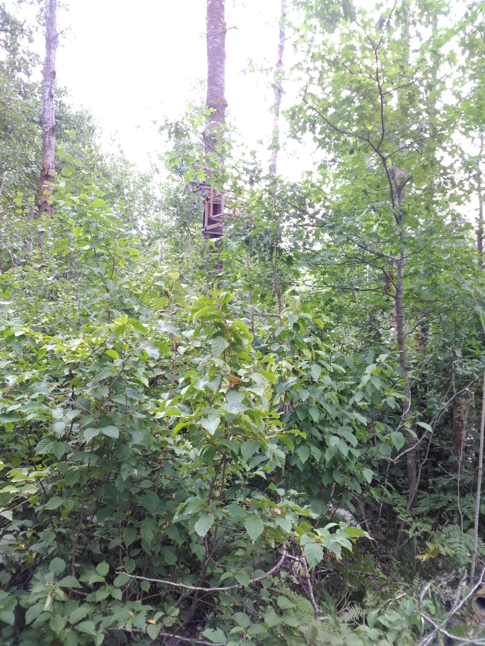 Xxxx 159th Avenue Property Photo 20