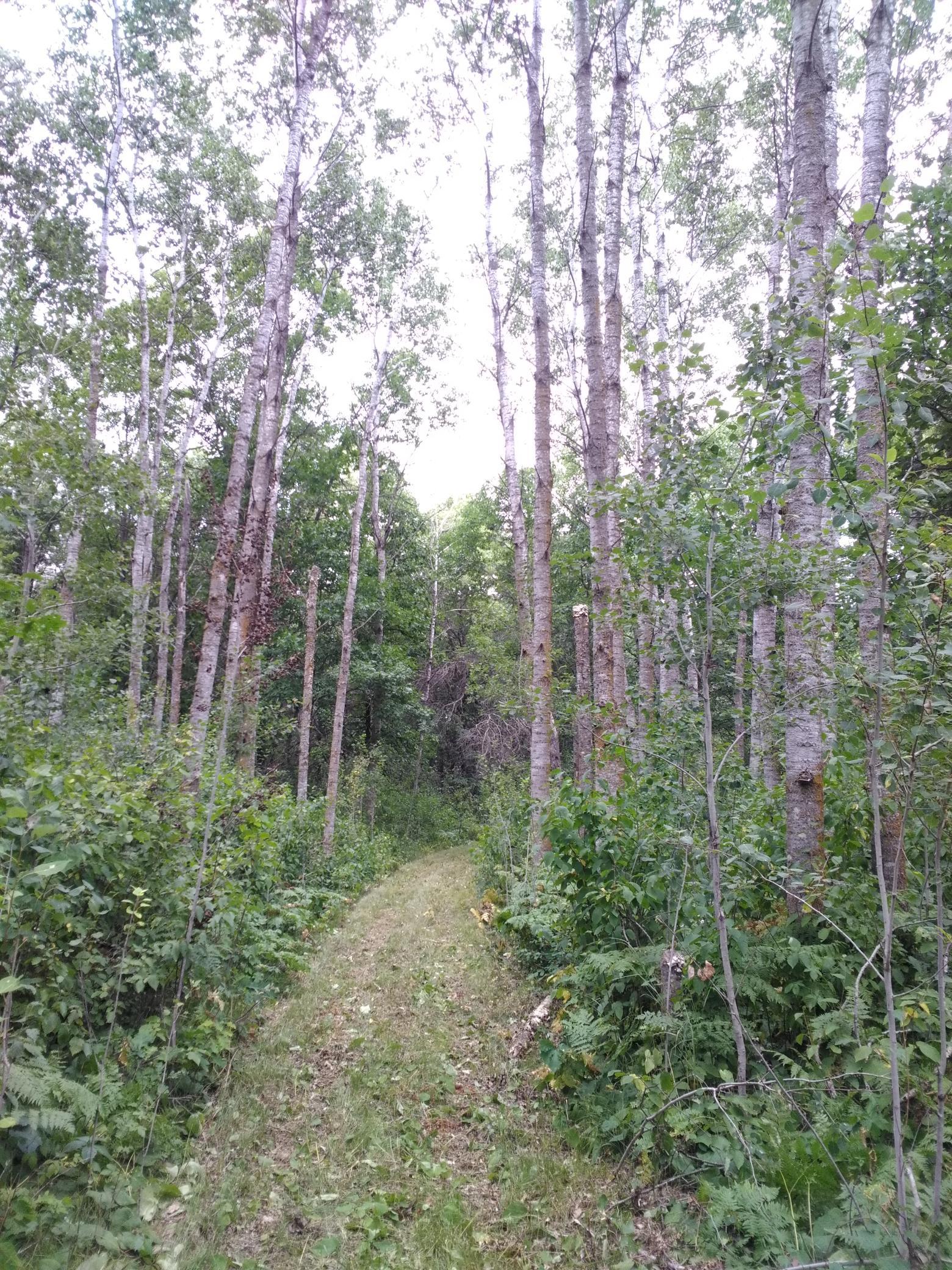 Xxxx 159th Avenue Property Photo 21