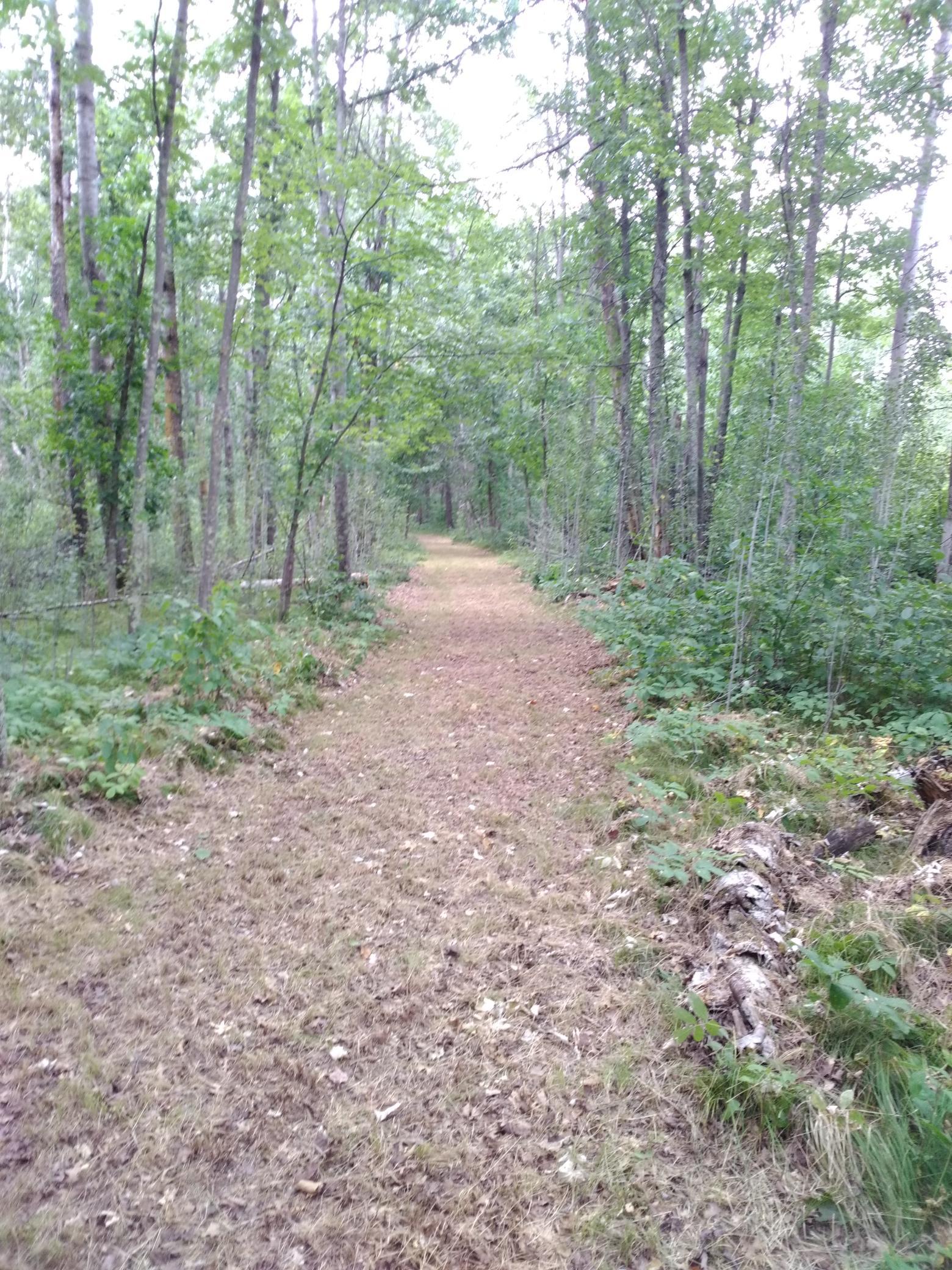 Xxxx 159th Avenue Property Photo 22
