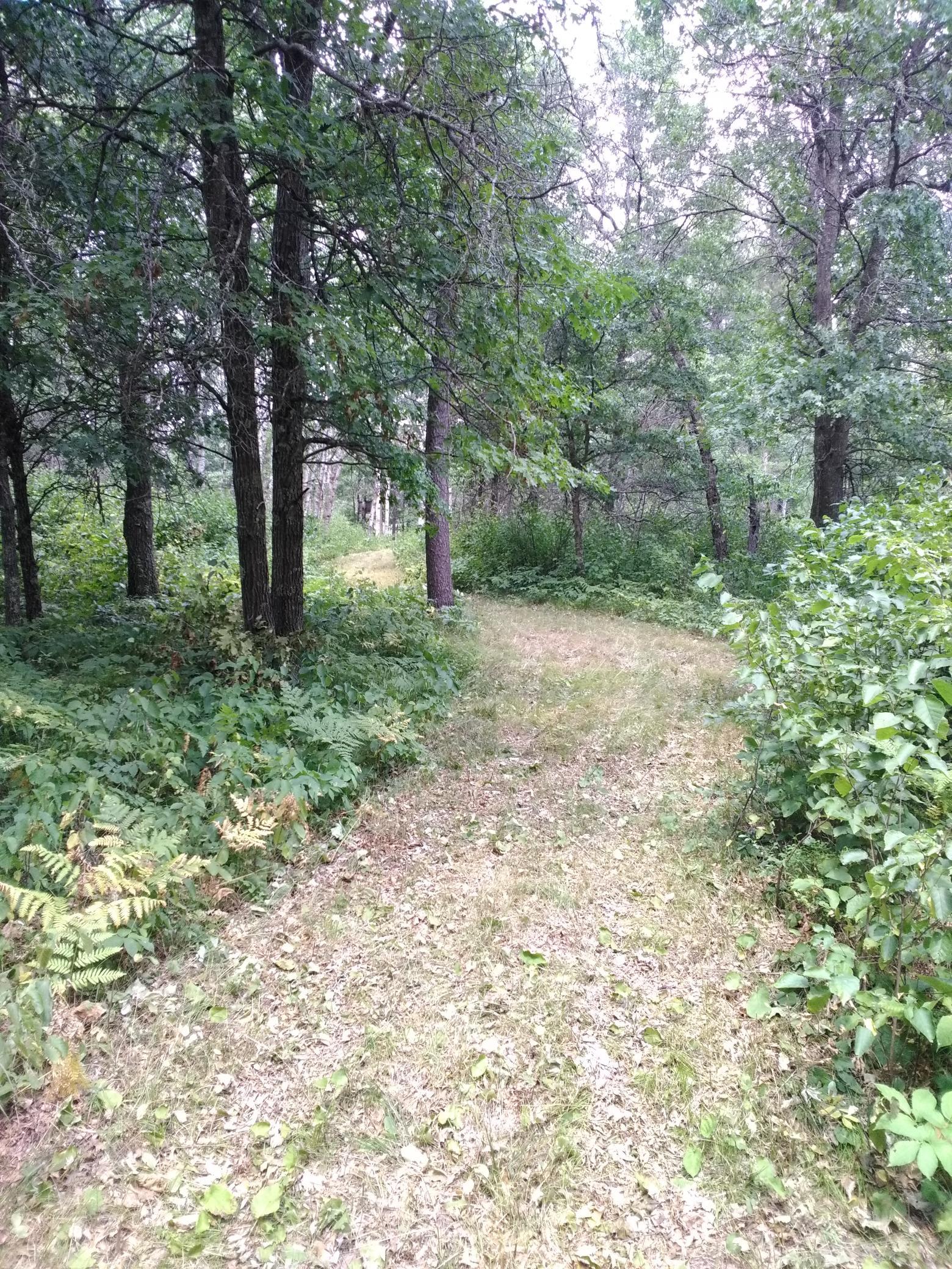 Xxxx 159th Avenue Property Photo 23