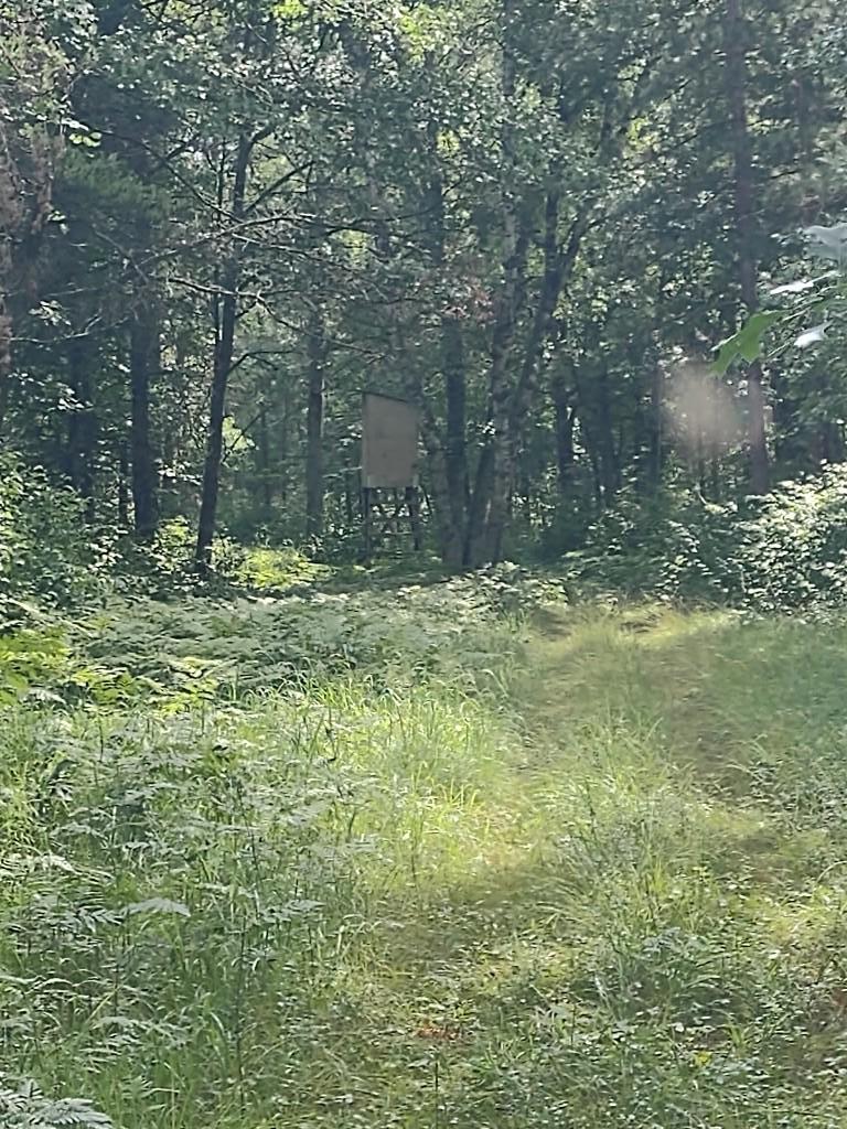 Xxxx 159th Avenue Property Photo 25
