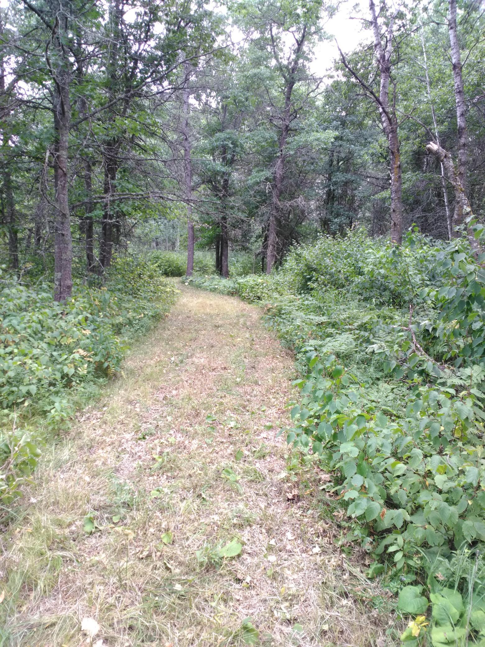 Xxxx 159th Avenue Property Photo 26