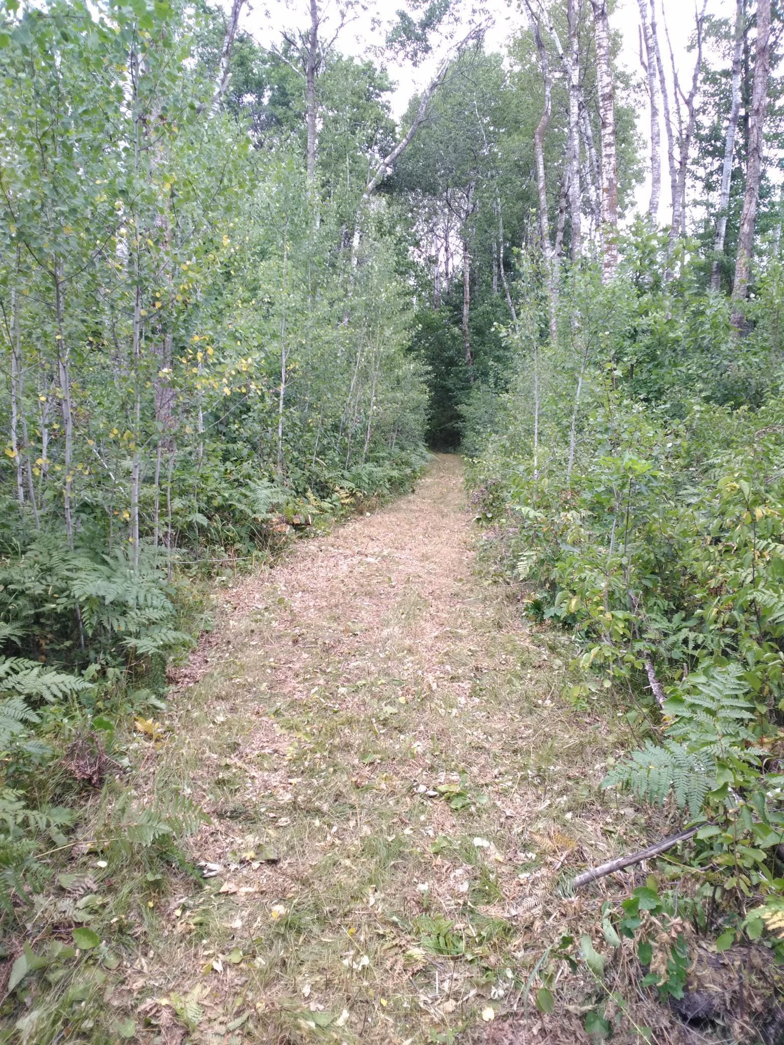 Xxxx 159th Avenue Property Photo 27