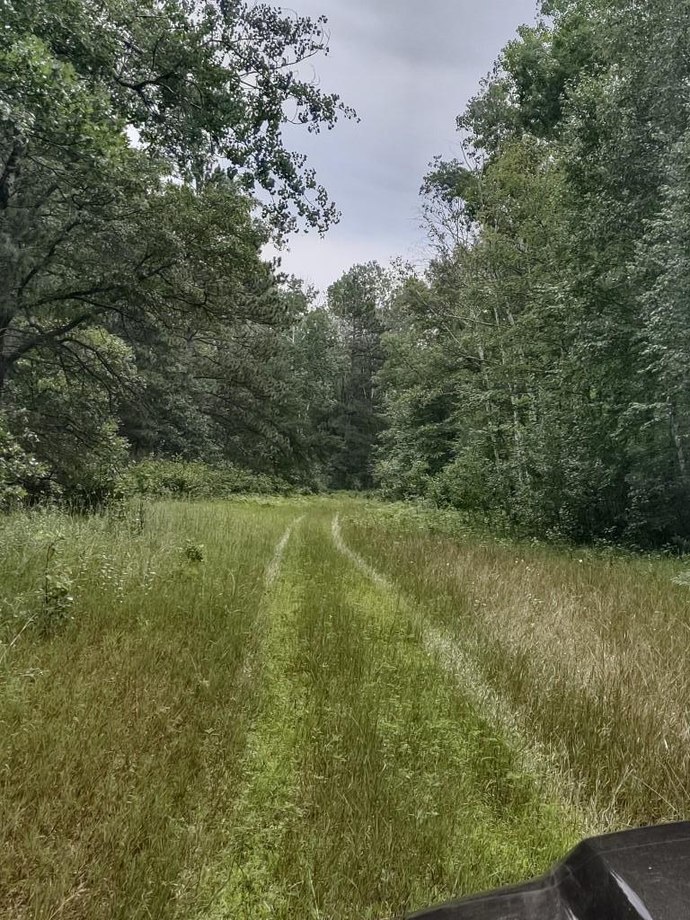 Xxxx 159th Avenue Property Photo 33