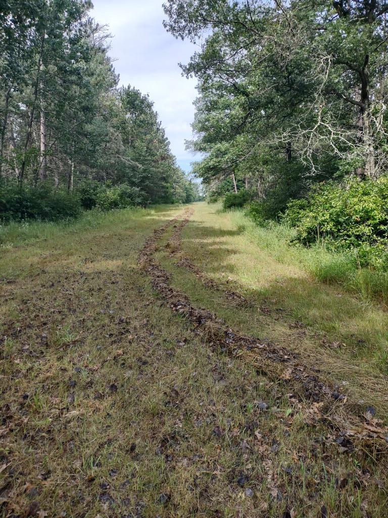Xxxx 159th Avenue Property Photo 34
