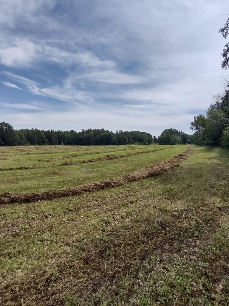 Xxxx 159th Avenue Property Photo 38
