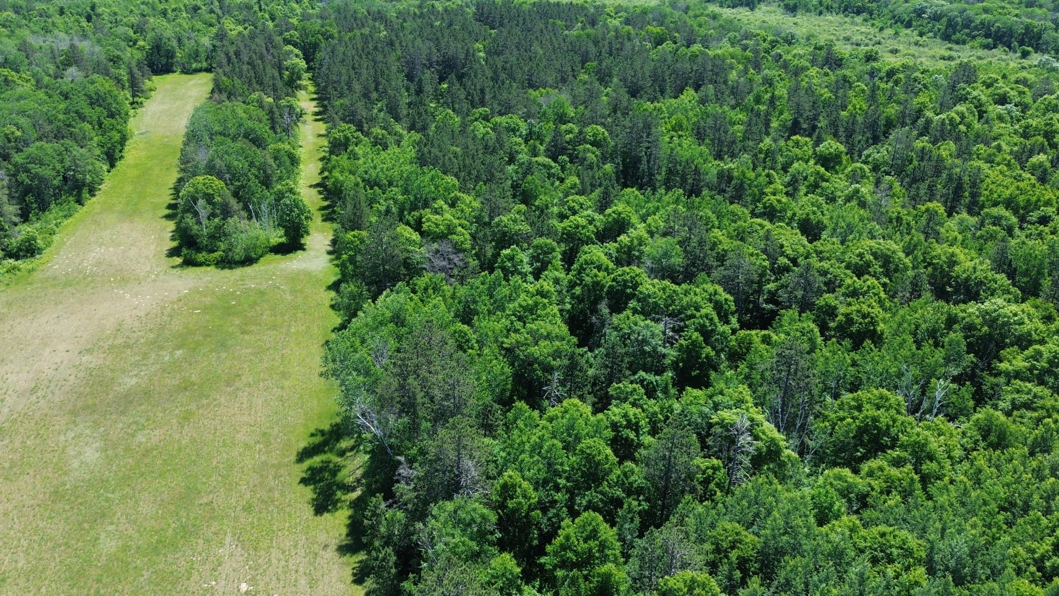 Xxxx 159th Avenue Property Photo 42