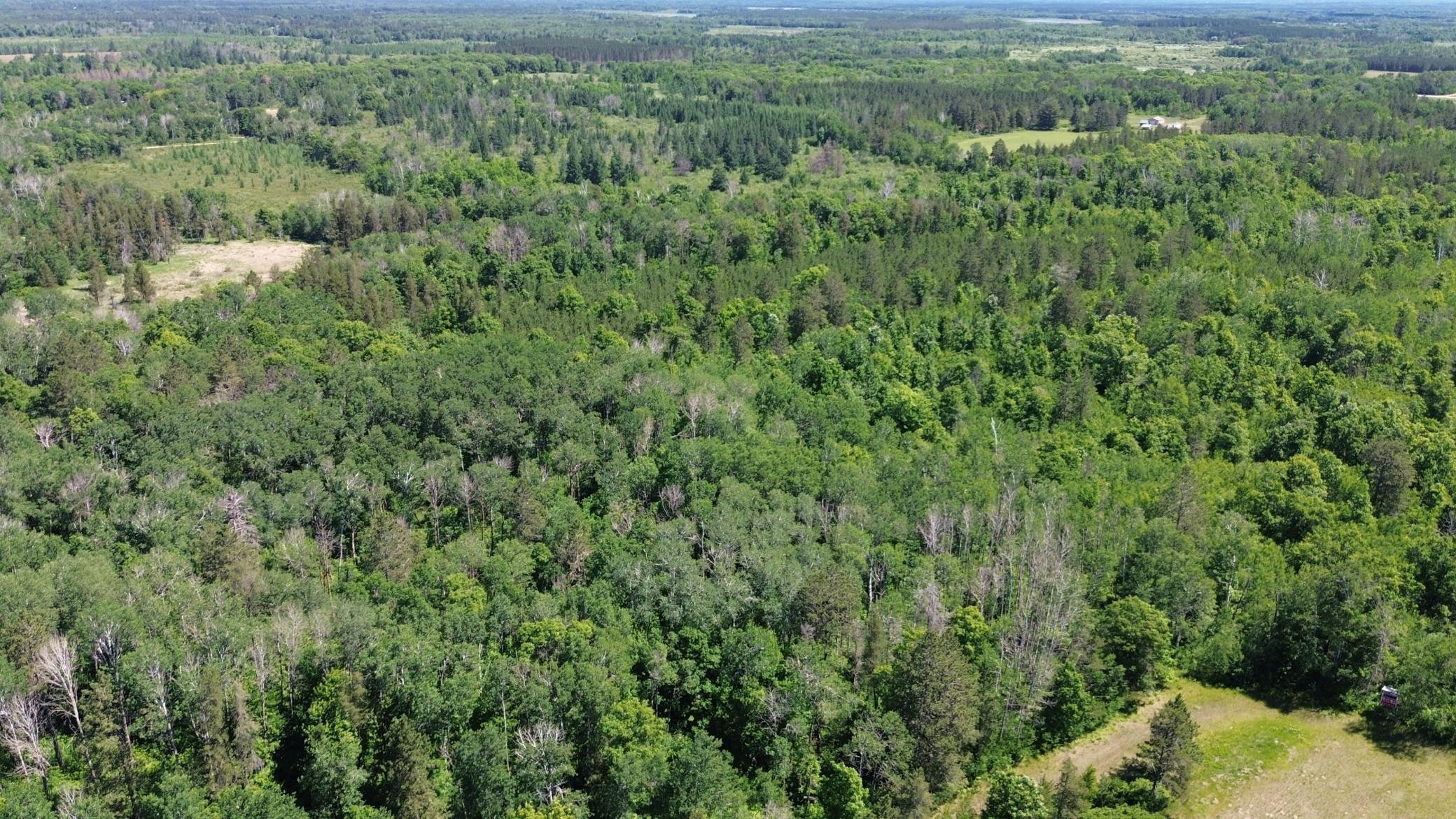 Xxxx 159th Avenue Property Photo 44
