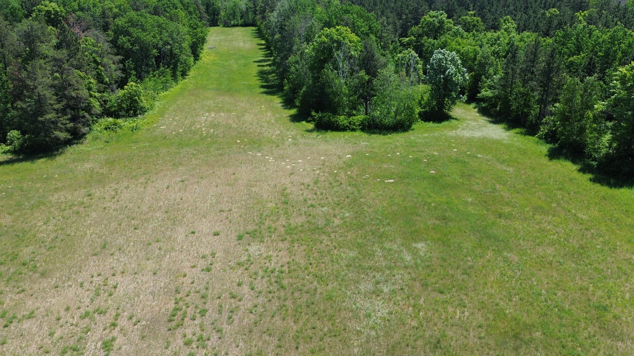 Xxxx 159th Avenue Property Photo 46