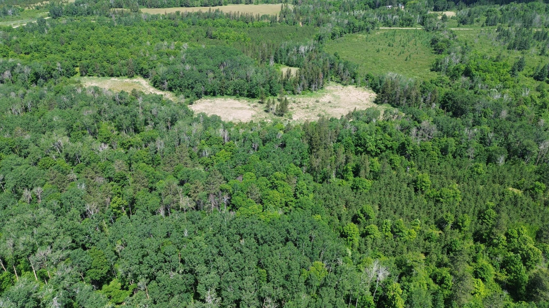 Xxxx 159th Avenue Property Photo 54