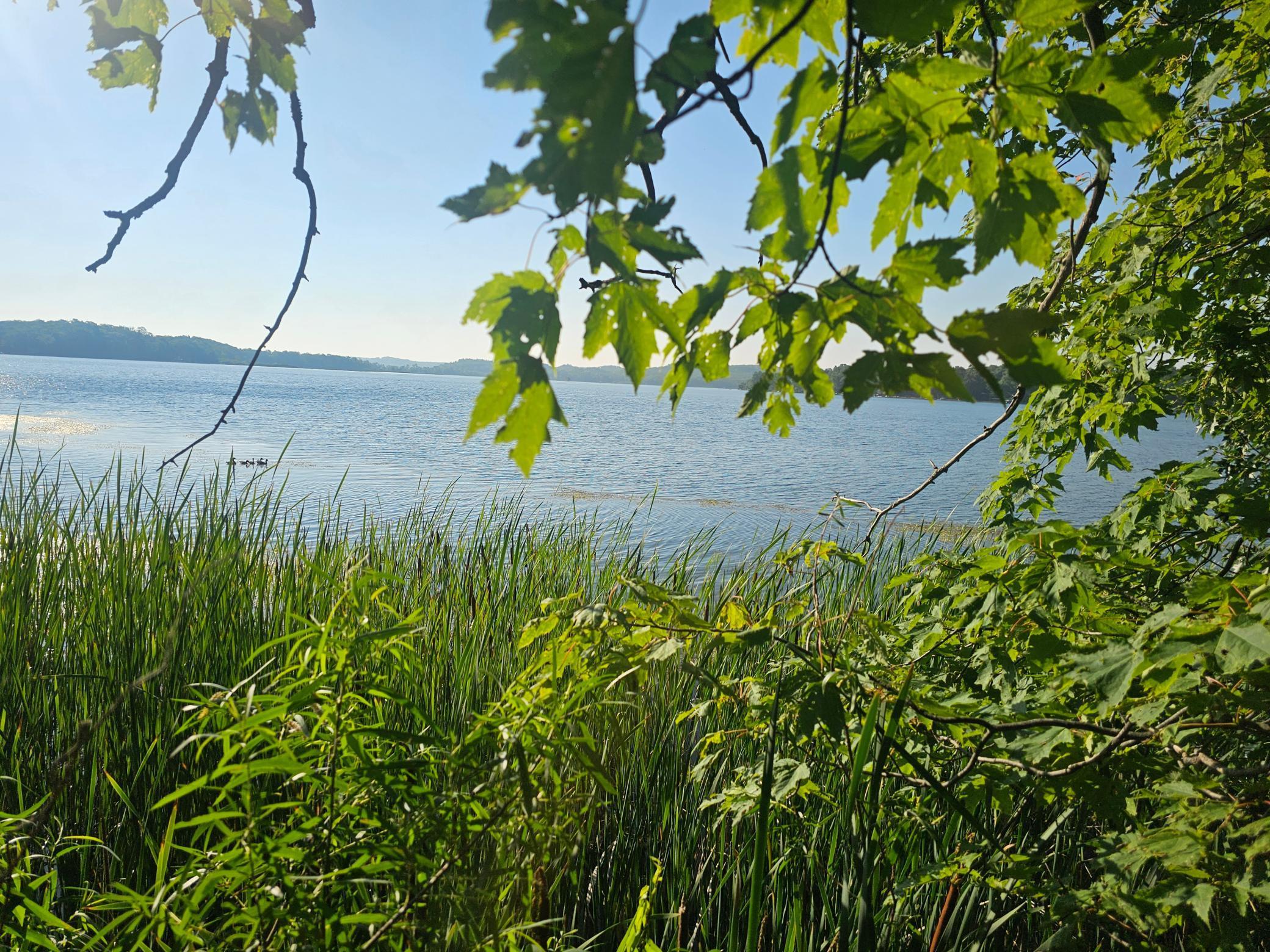TBD Rabbit Lake Drive Property Photo 1