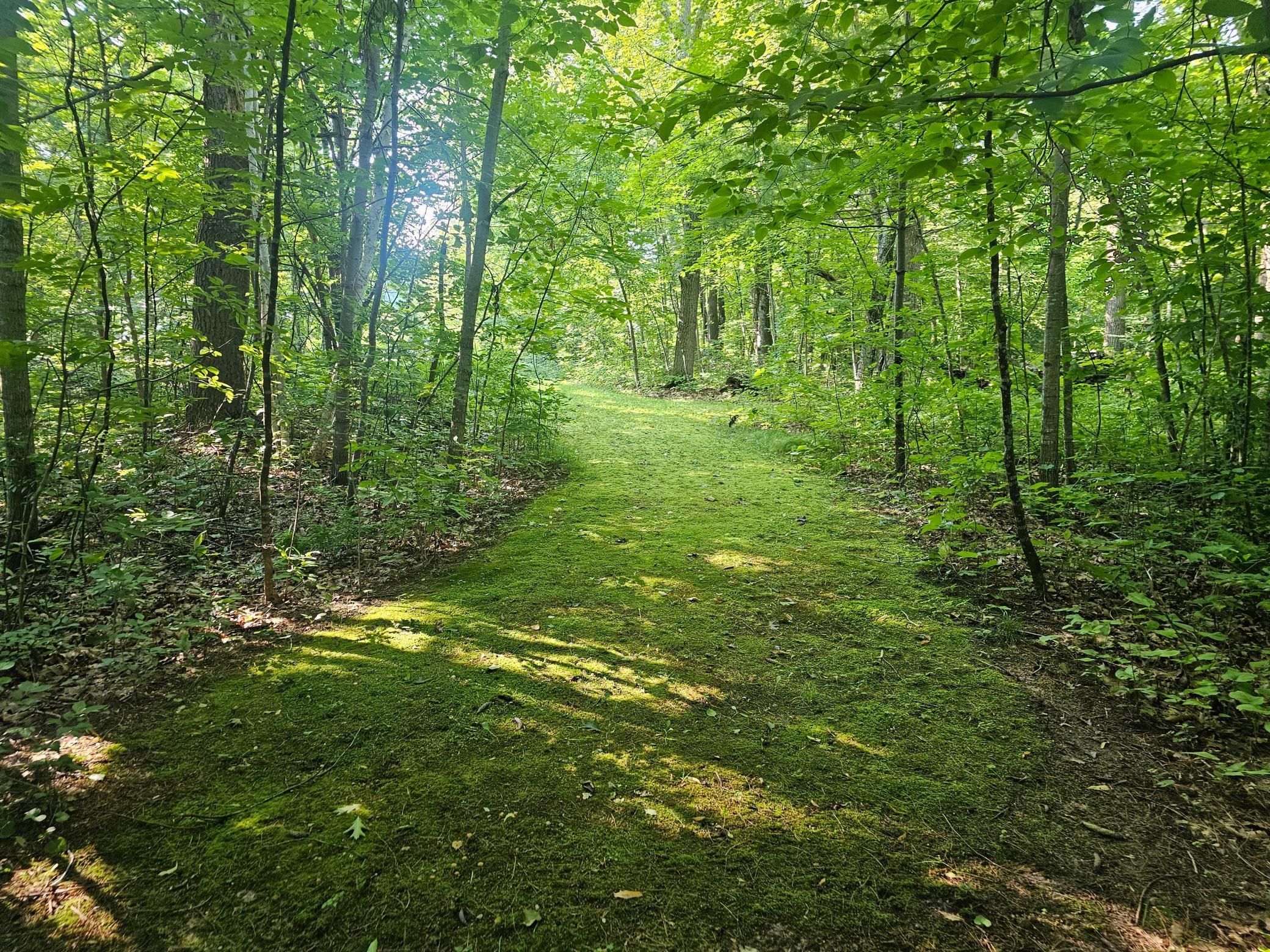 Tbd Lot 2 Bunny Lane Property Photo 1