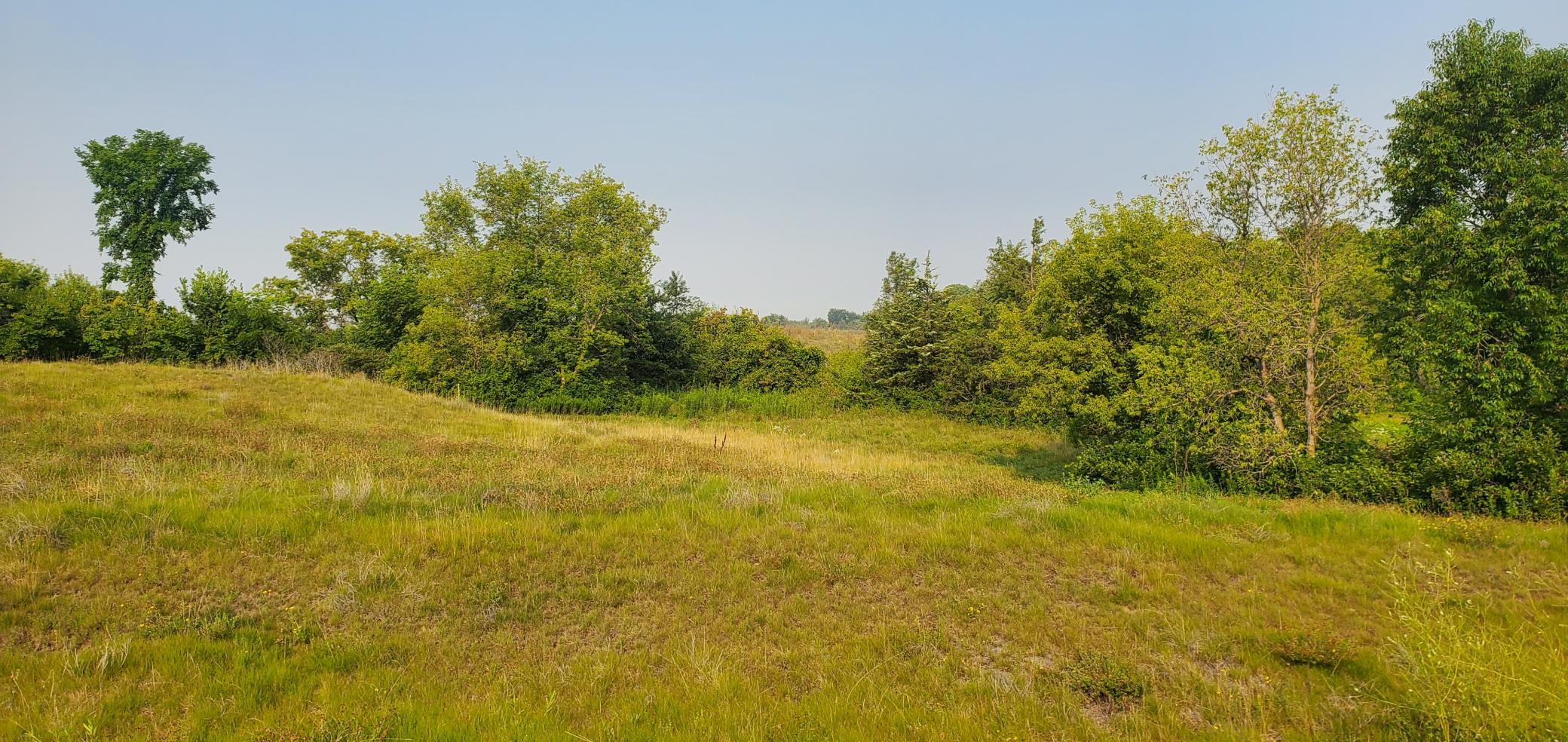 1006 Moon Glow Road