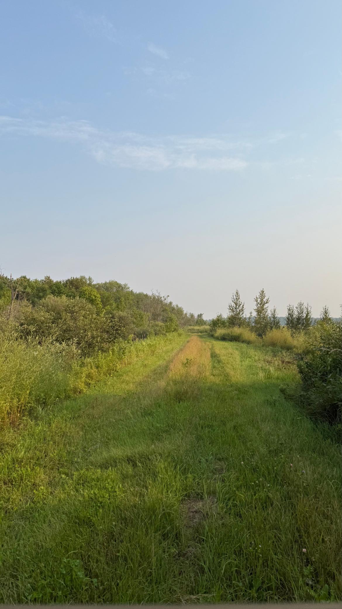 Tbd160 Sunflower Road Property Photo 1