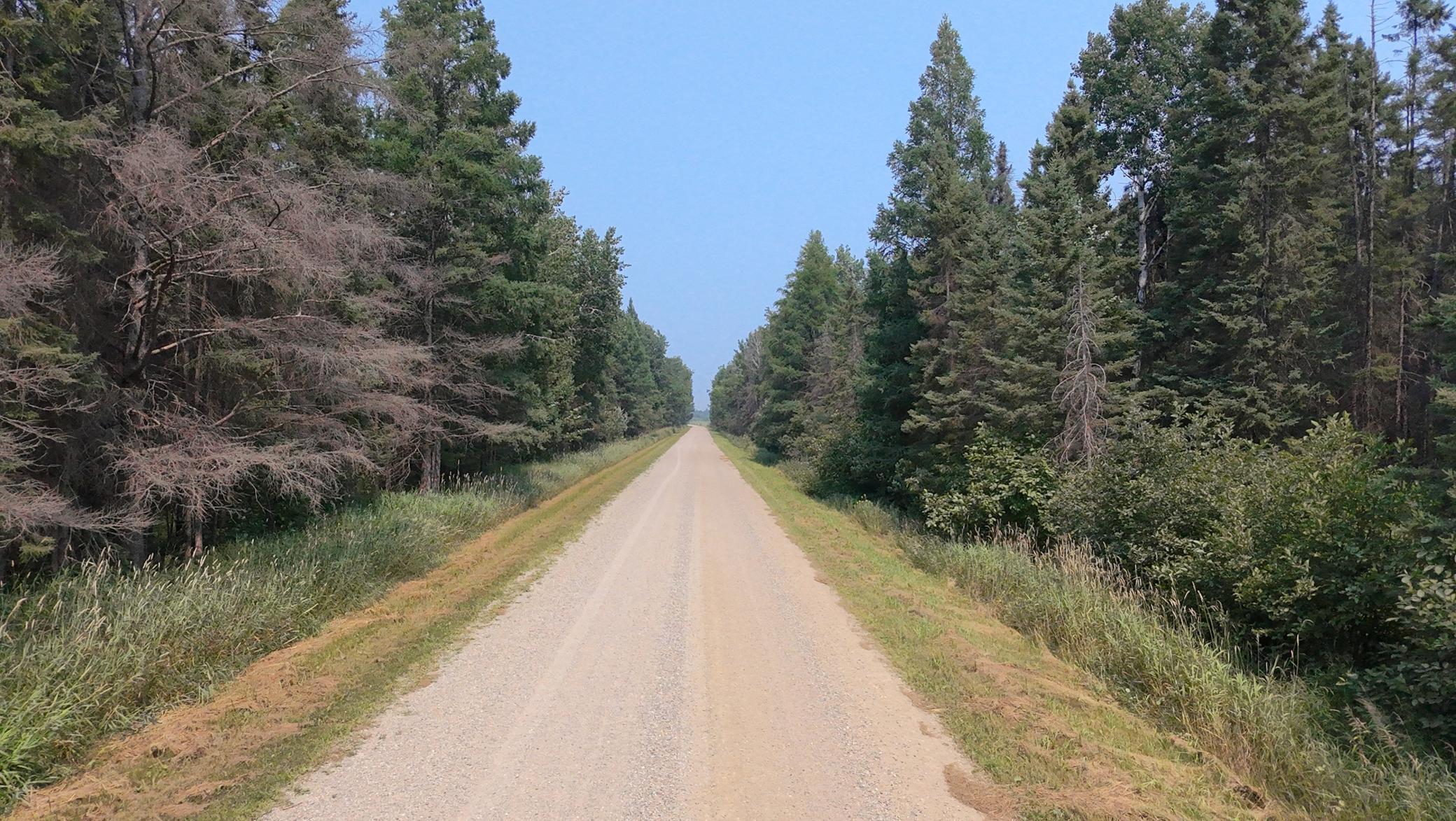 Tbd 120 Acres Sunflower Road Property Photo 1