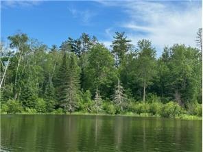 Tbd S Thunder Lake Road Property Photo