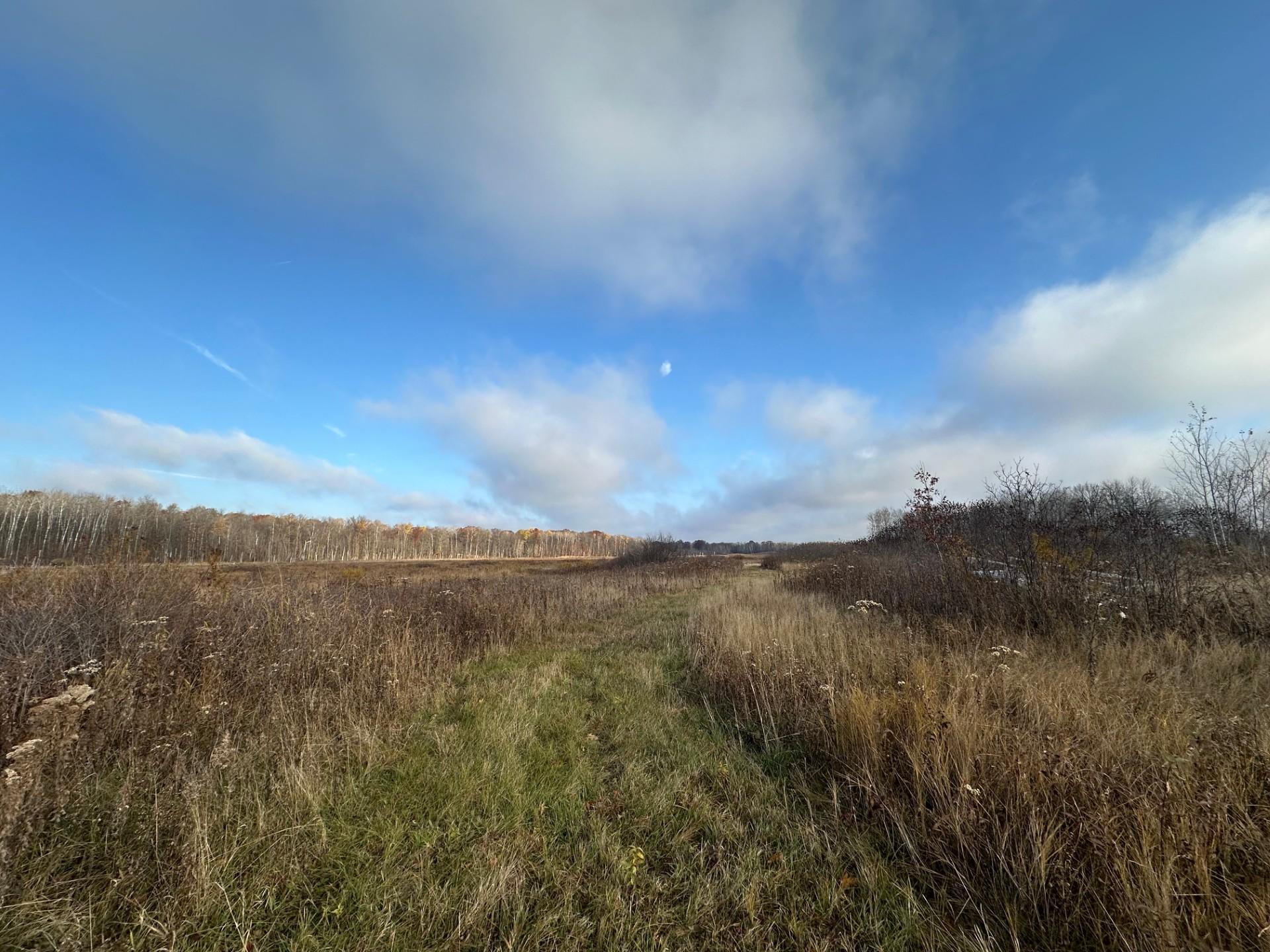 Tbd 310th Avenue Property Photo 25