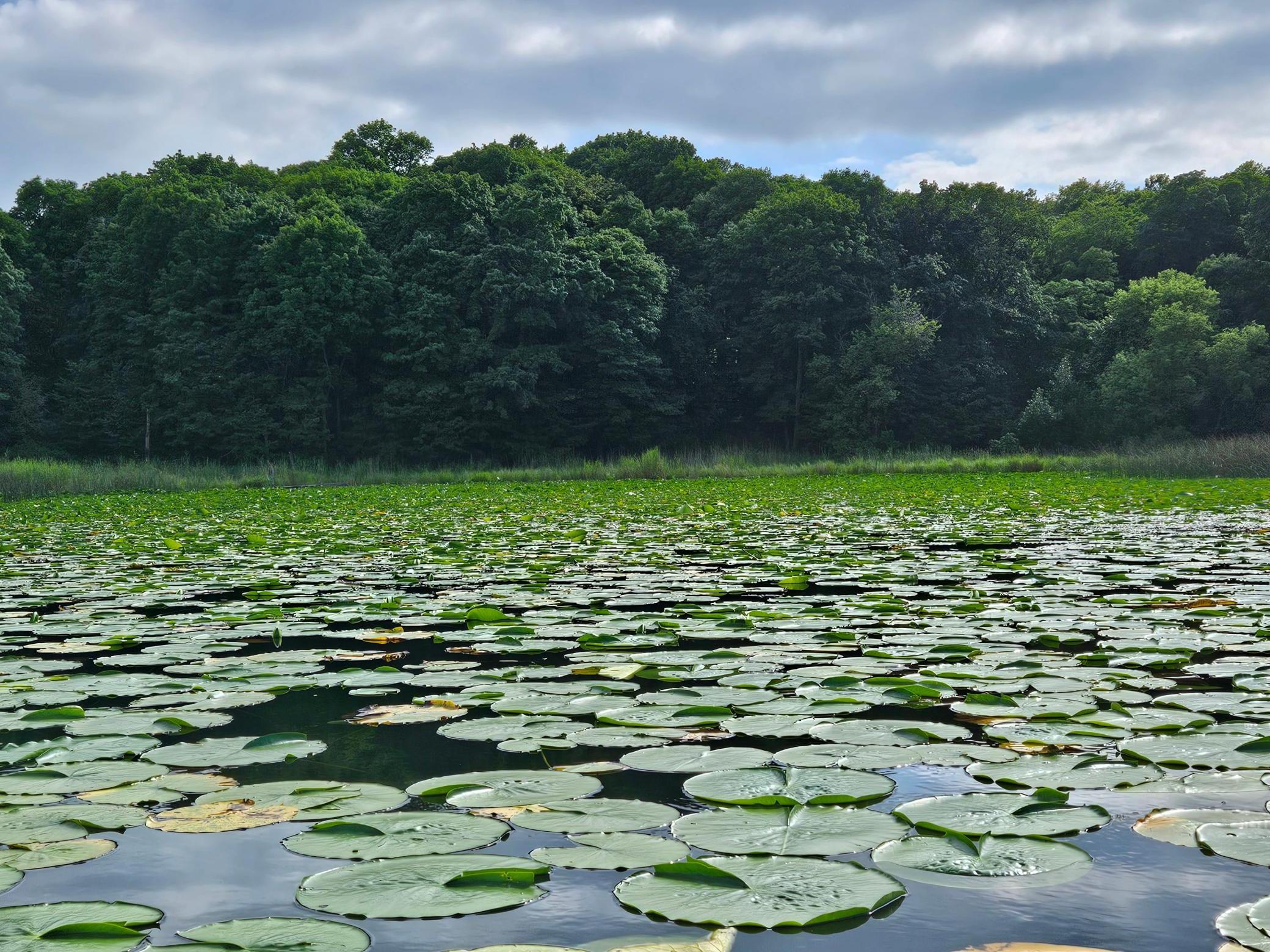 TBD Valley Lane Property Photo 1