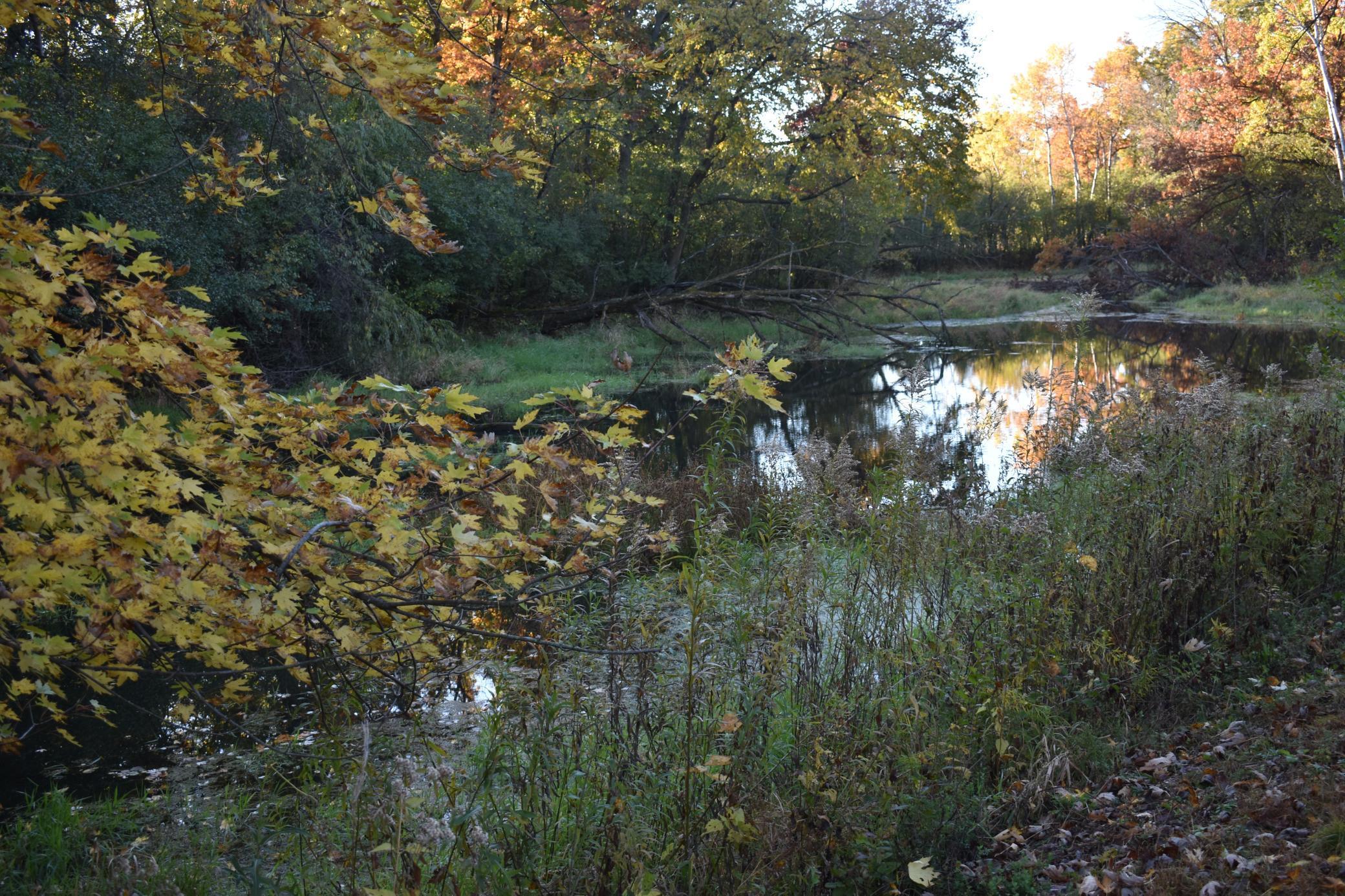 5470 Rowland Road Property Photo 1