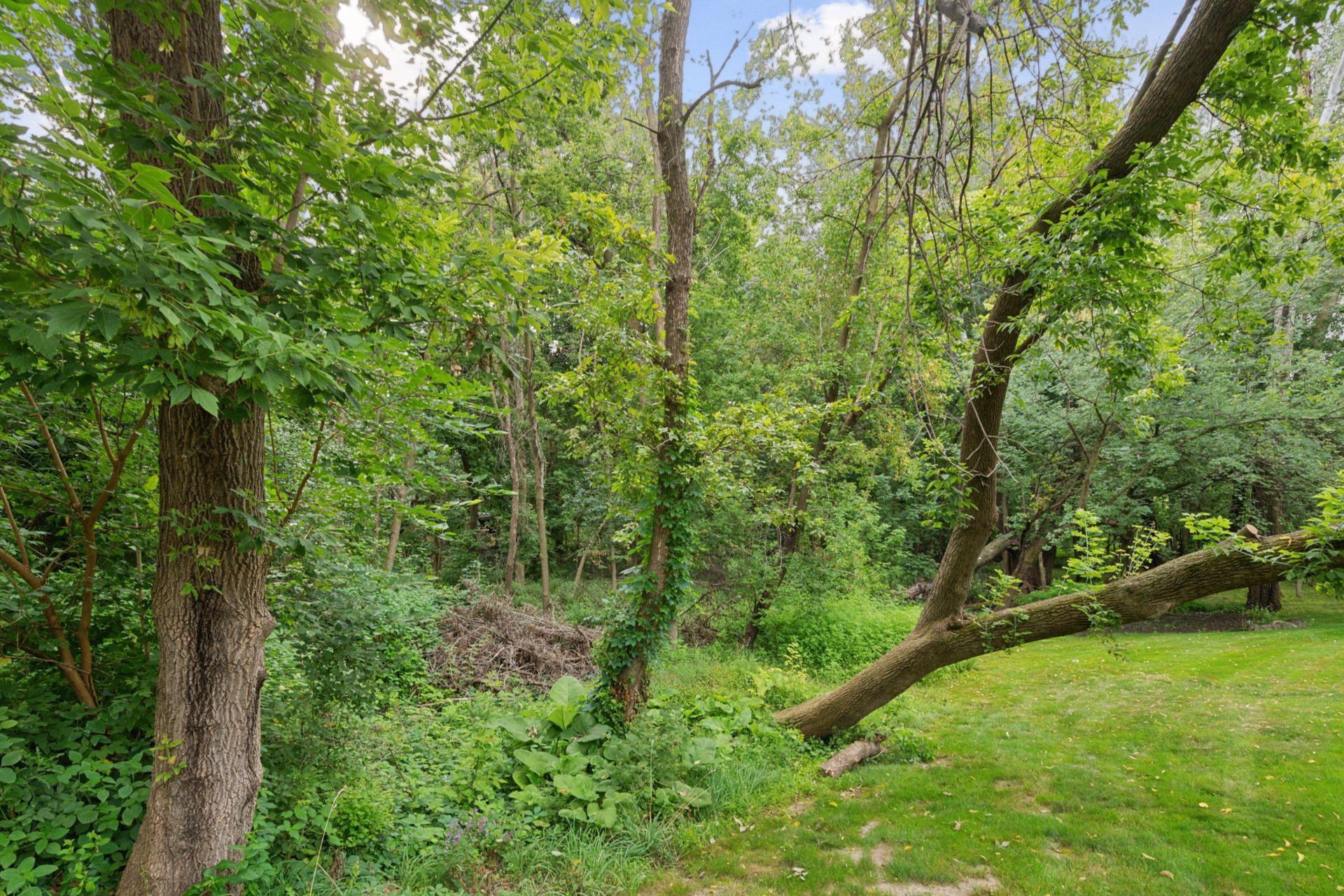 000 Park Drive Property Photo 13