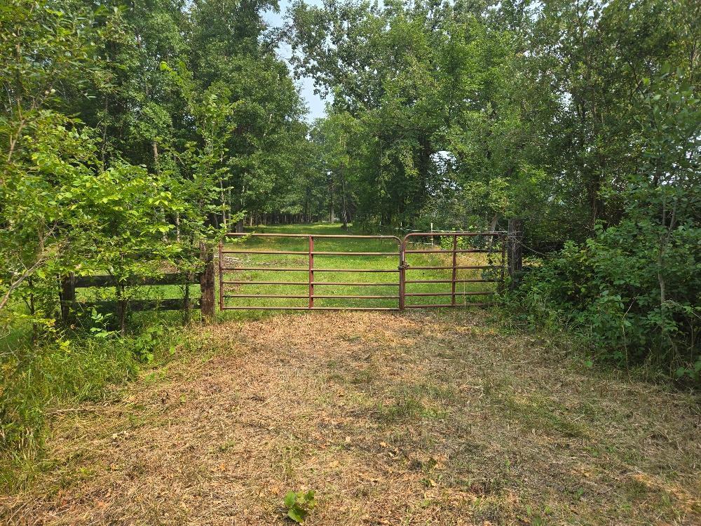 Tbd State 87 Sw Property Photo 1