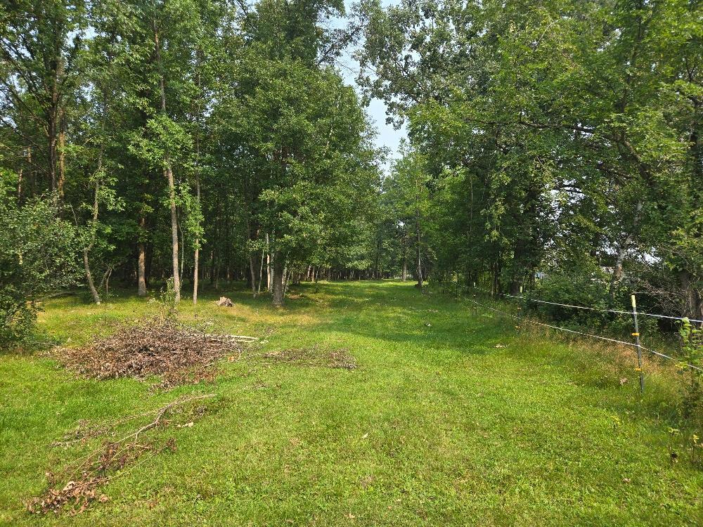 Tbd State 87 Sw Property Photo 2