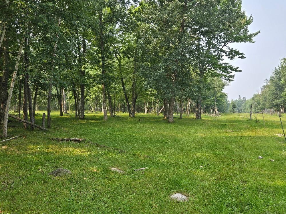 Tbd State 87 Sw Property Photo 3