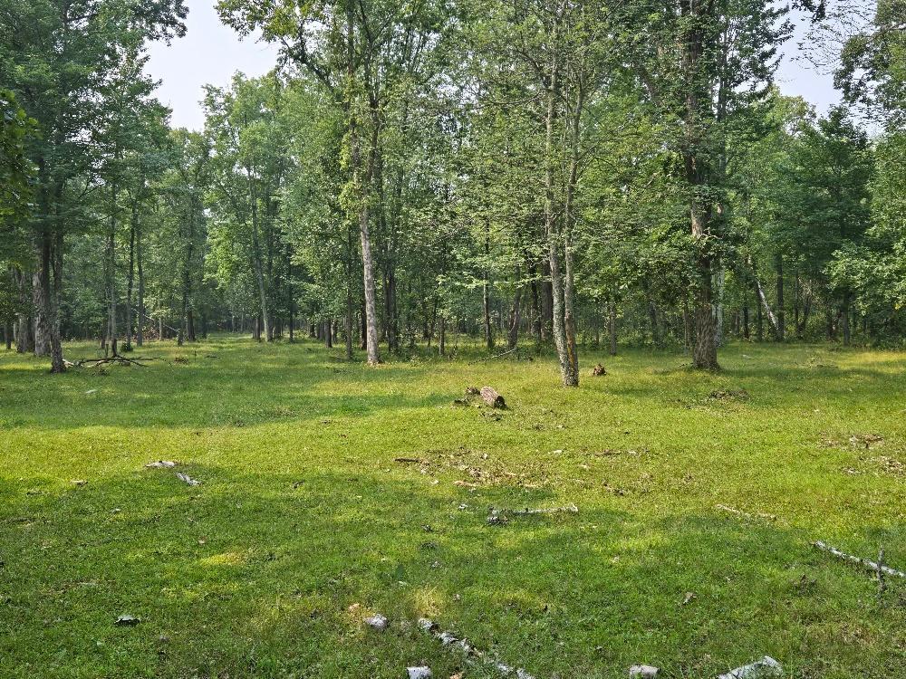 Tbd State 87 Sw Property Photo 5