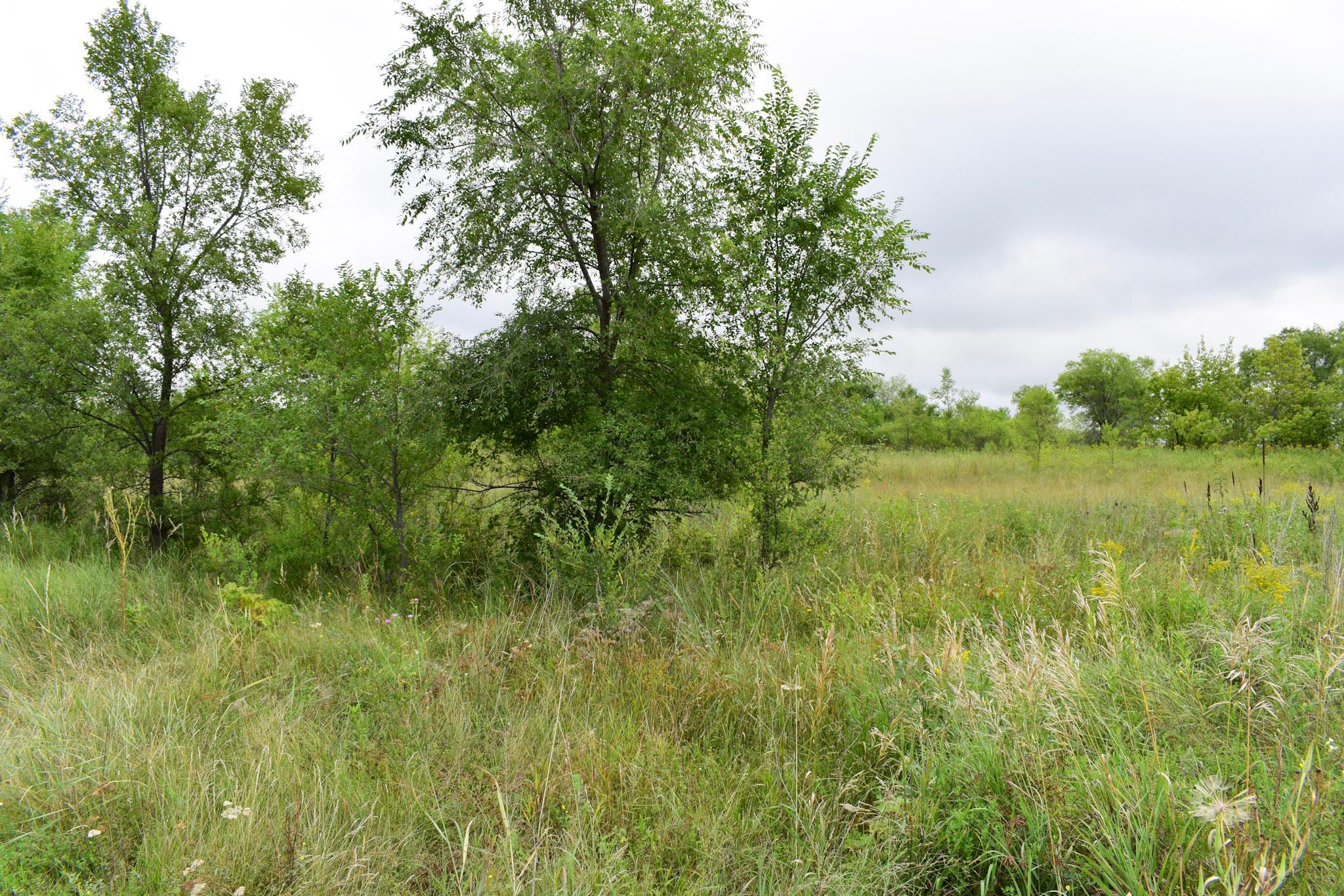 1406 23rd Street Se Property Photo 6