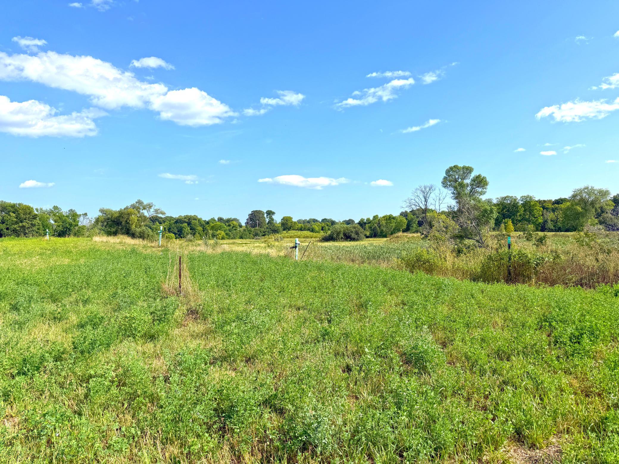 7581 Lake John Drive Property Photo 17