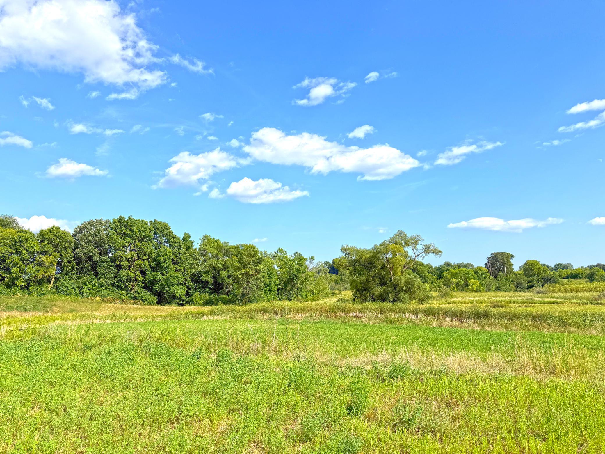 7581 Lake John Drive Property Photo 18
