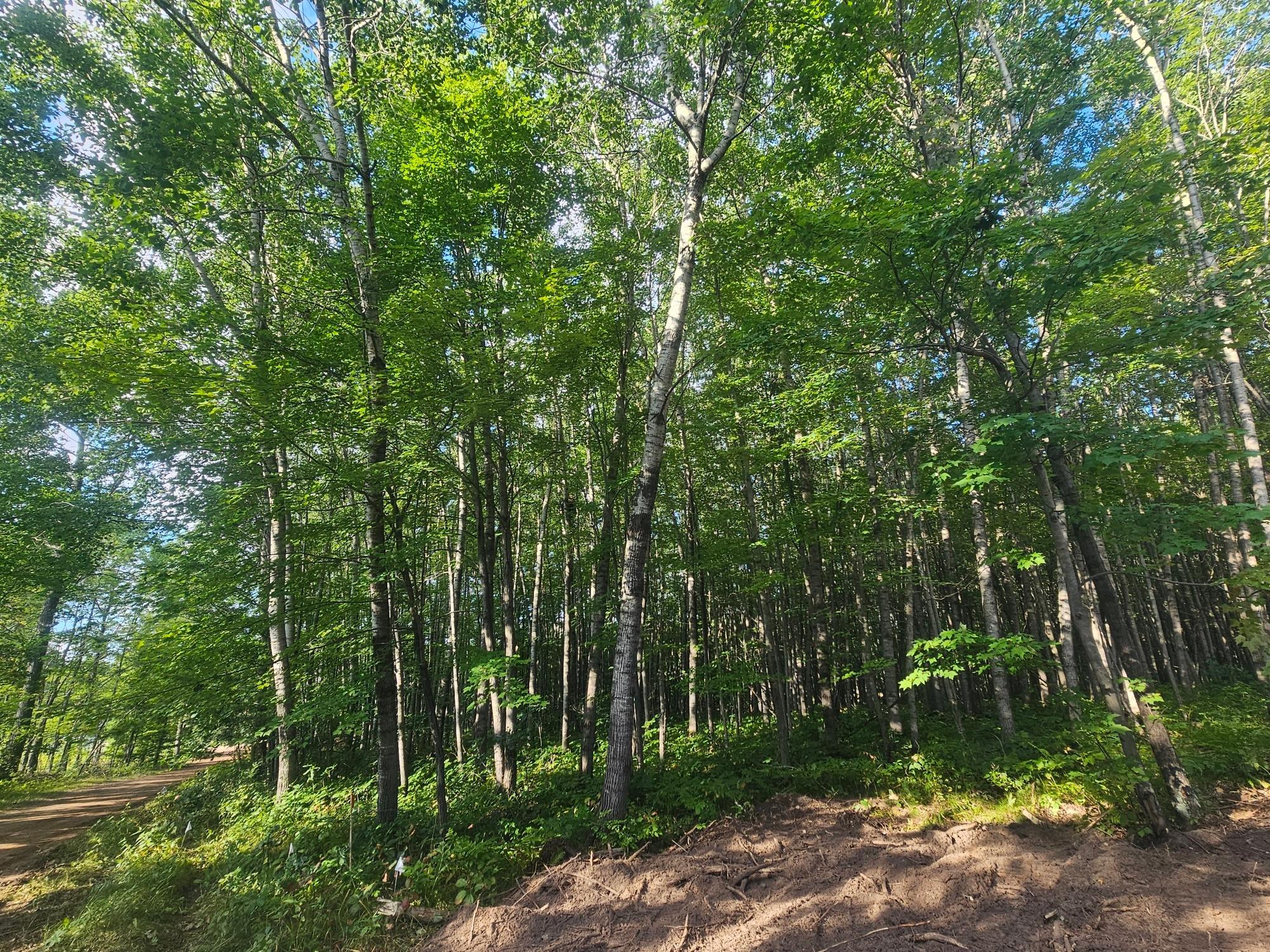 Lot 1 Ken Can Lane Property Photo 1