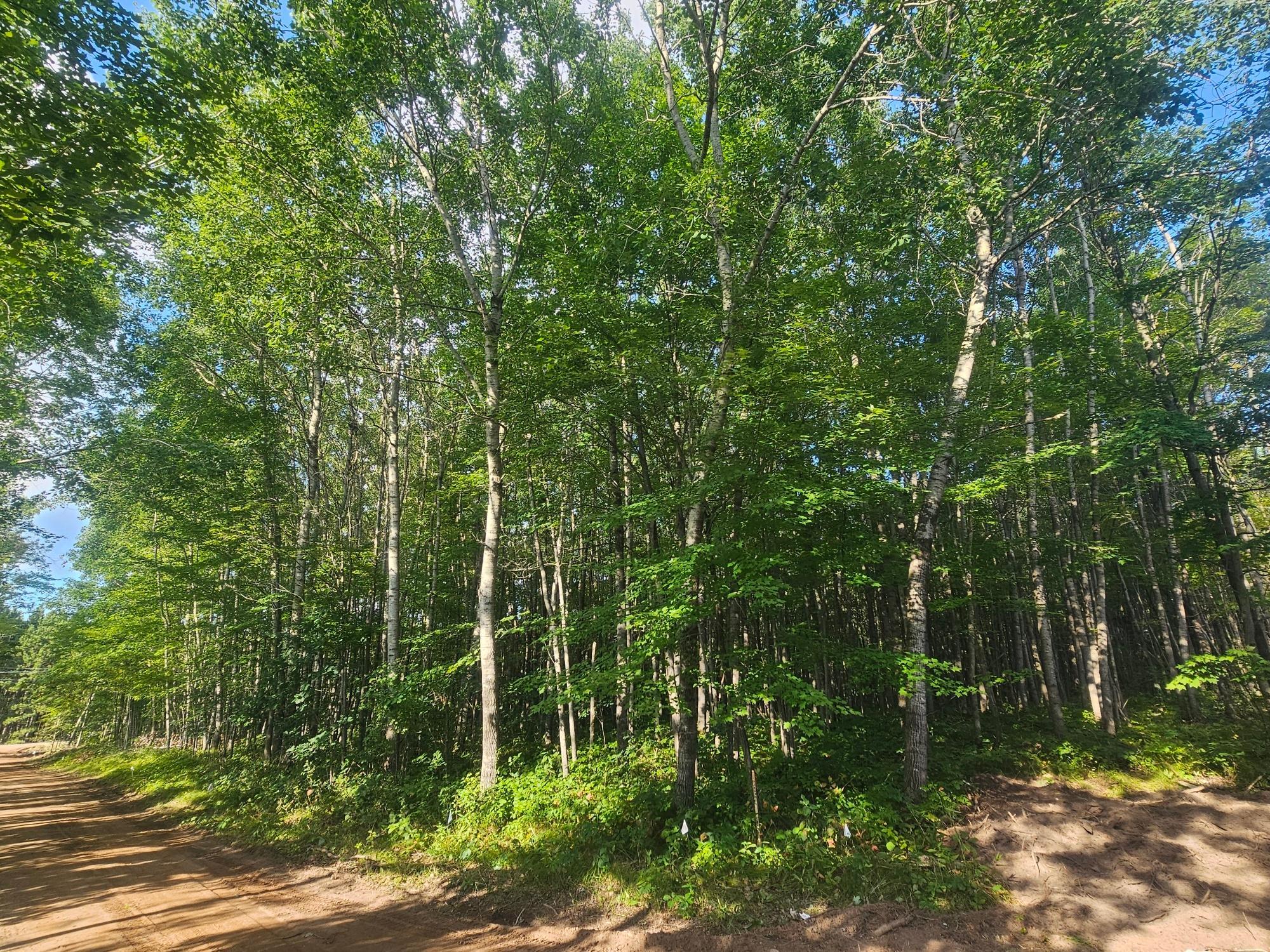 Lot 1 Ken Can Lane Property Photo 3