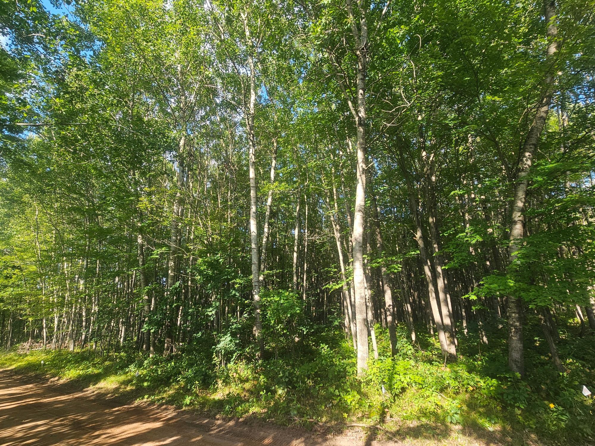 Lot 1 Ken Can Lane Property Photo 7