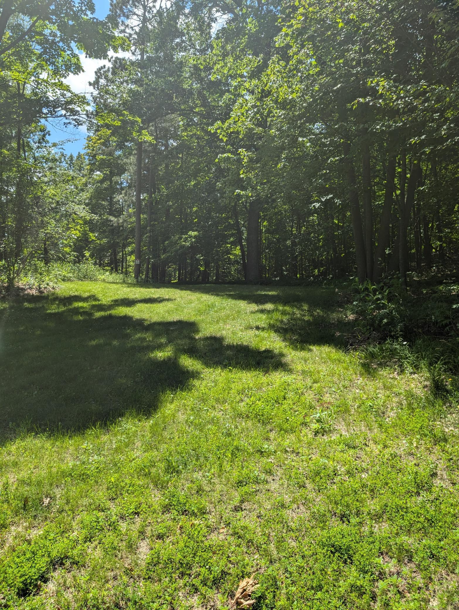 Tbd Lantern Lane Property Photo 10