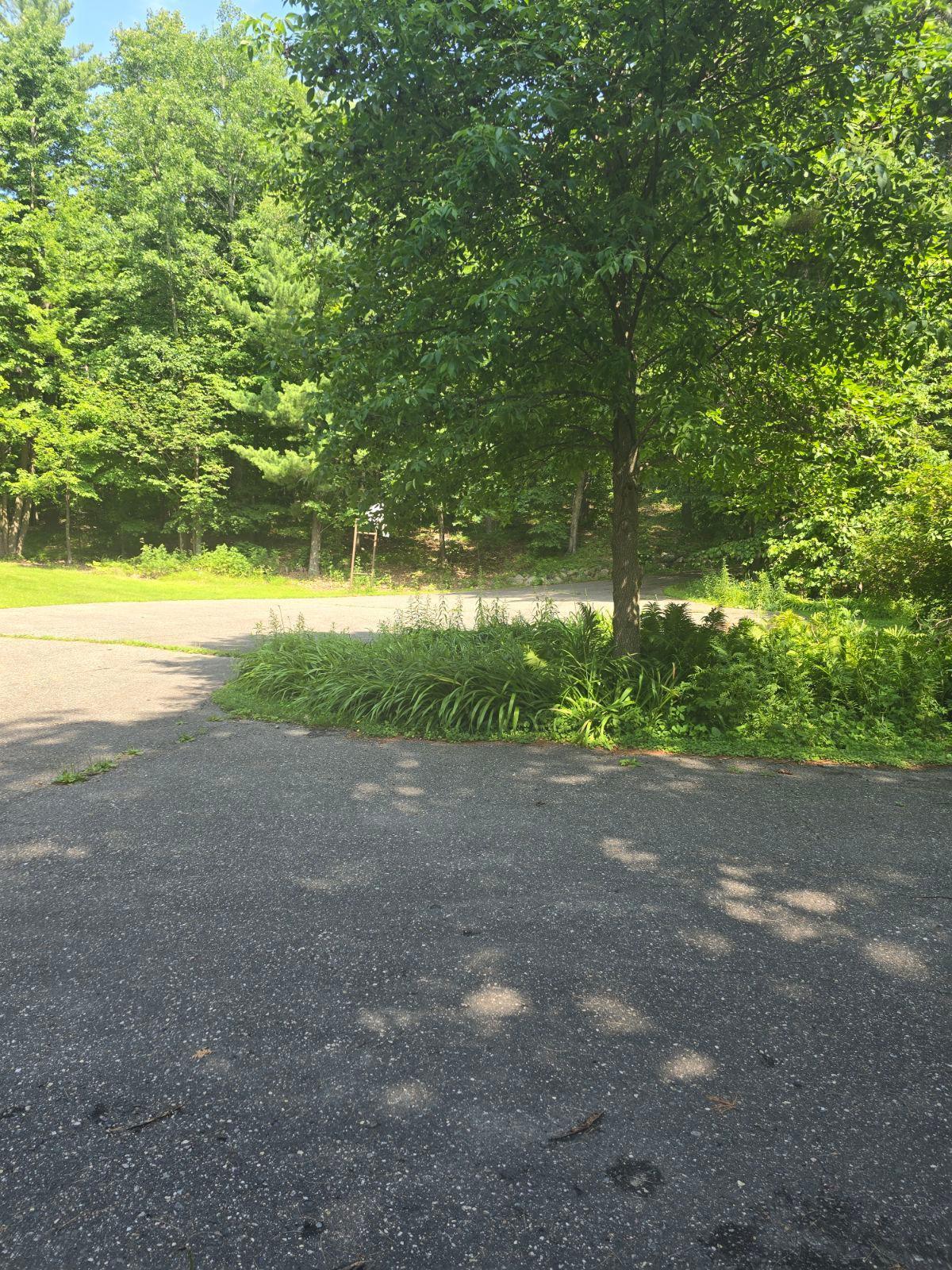 Tbd Lantern Lane Property Photo 11