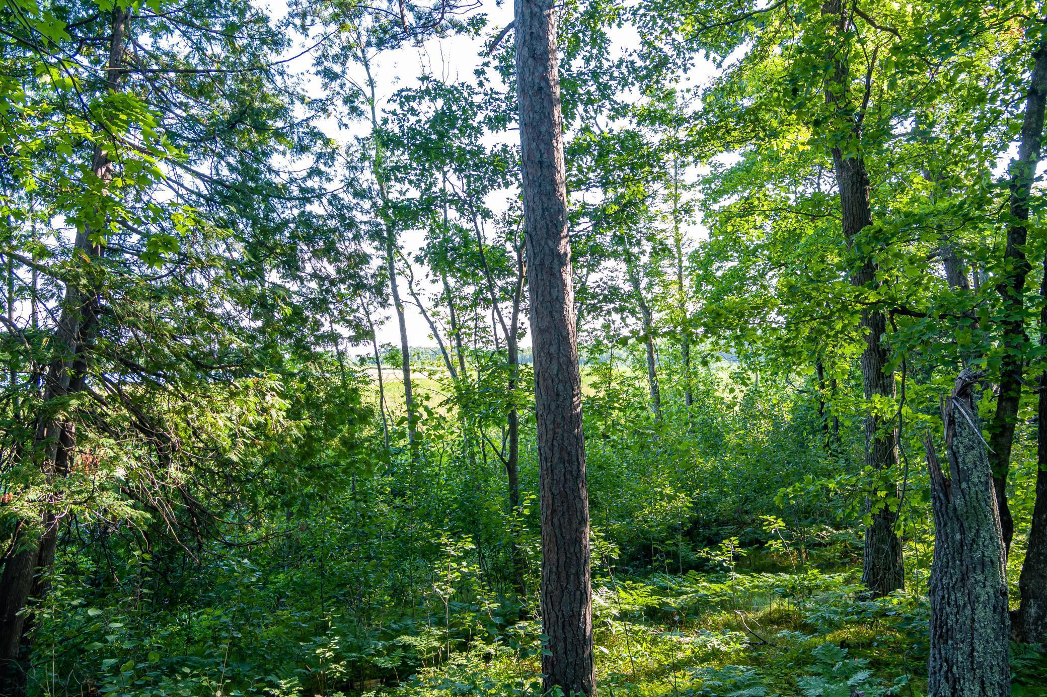 Tbd Lantern Lane Property Photo 13