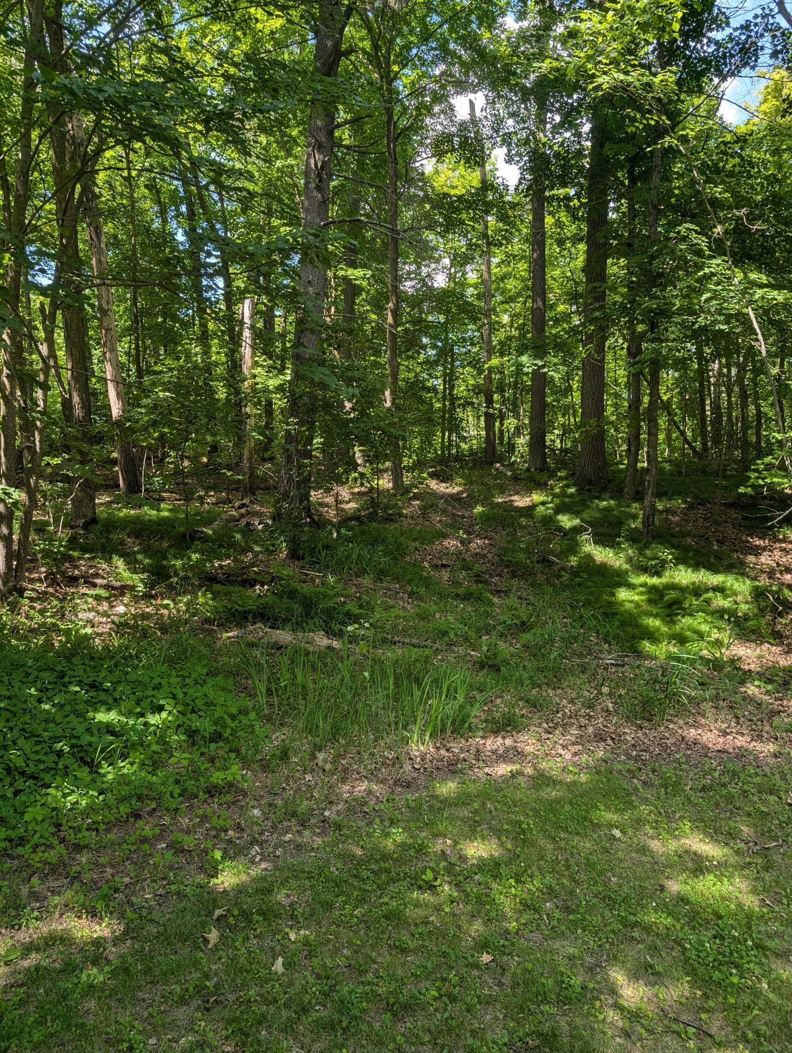 Tbd Lantern Lane Property Photo 15
