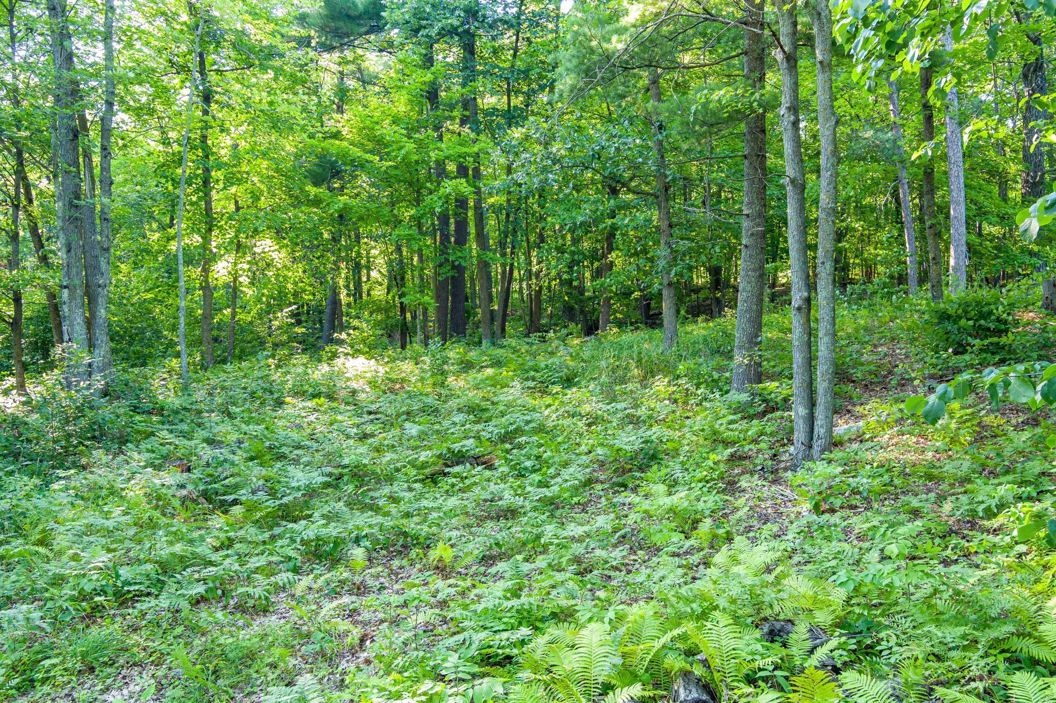 Tbd Lantern Lane Property Photo 16