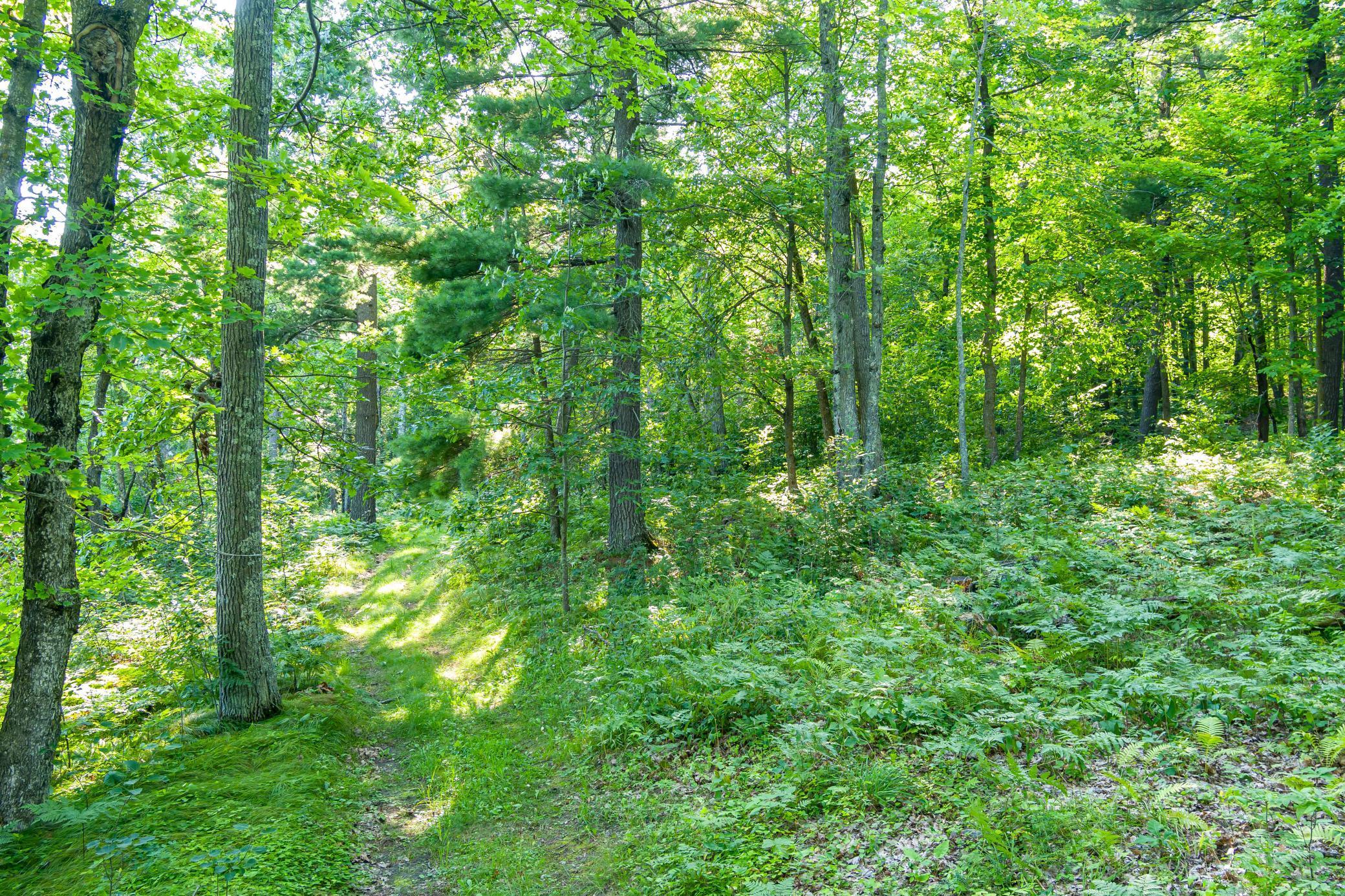 Tbd Lantern Lane Property Photo 17
