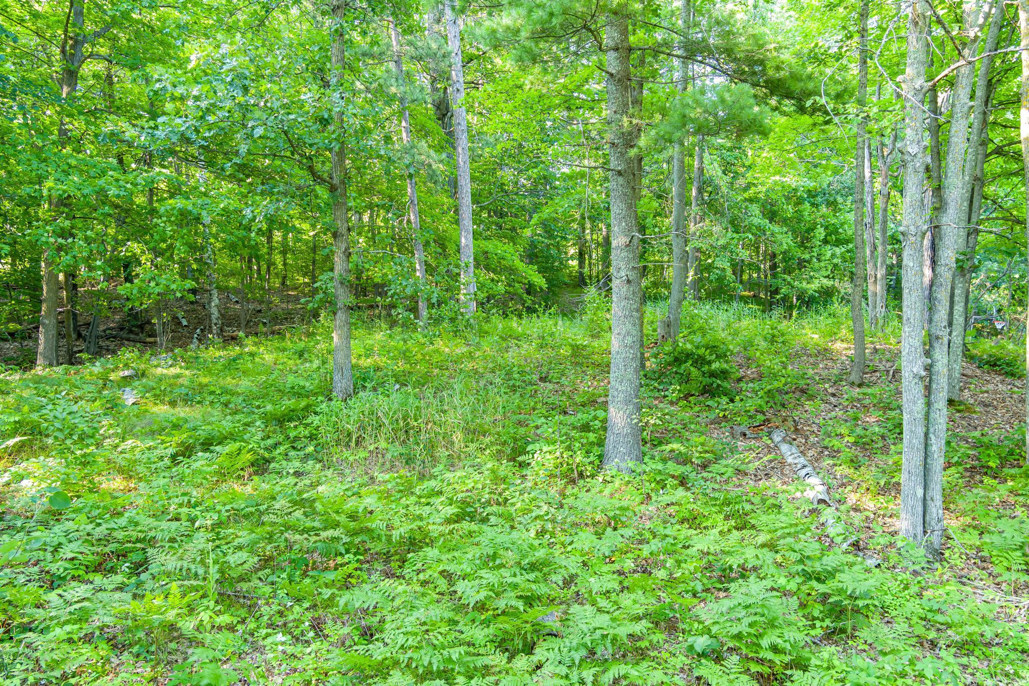Tbd Lantern Lane Property Photo 18