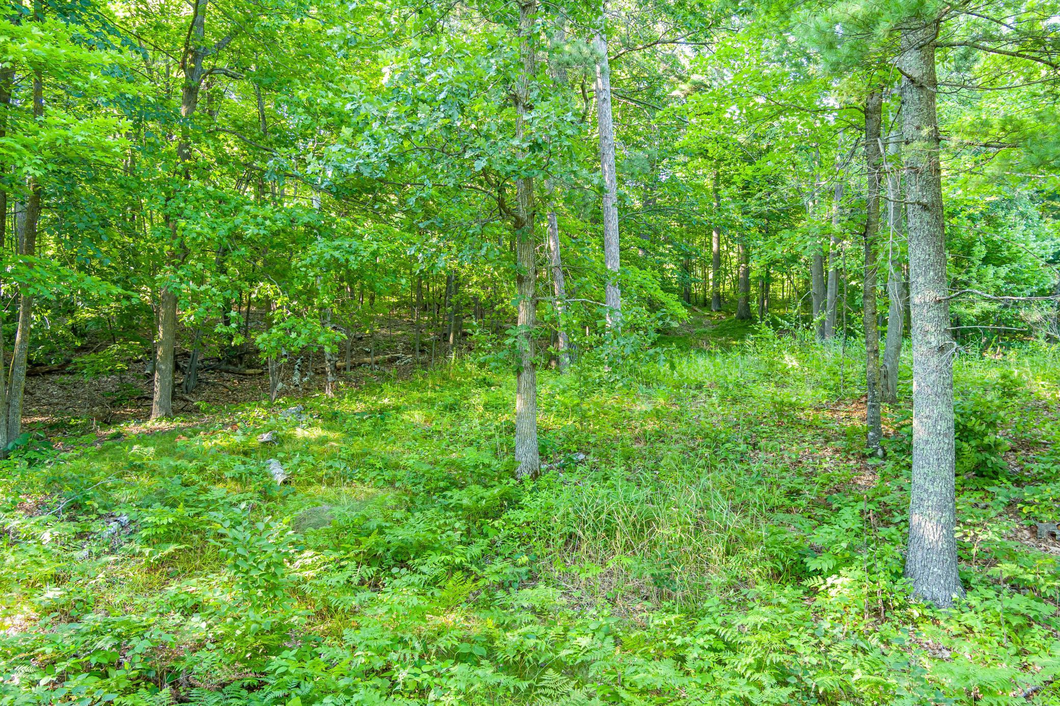 Tbd Lantern Lane Property Photo 19