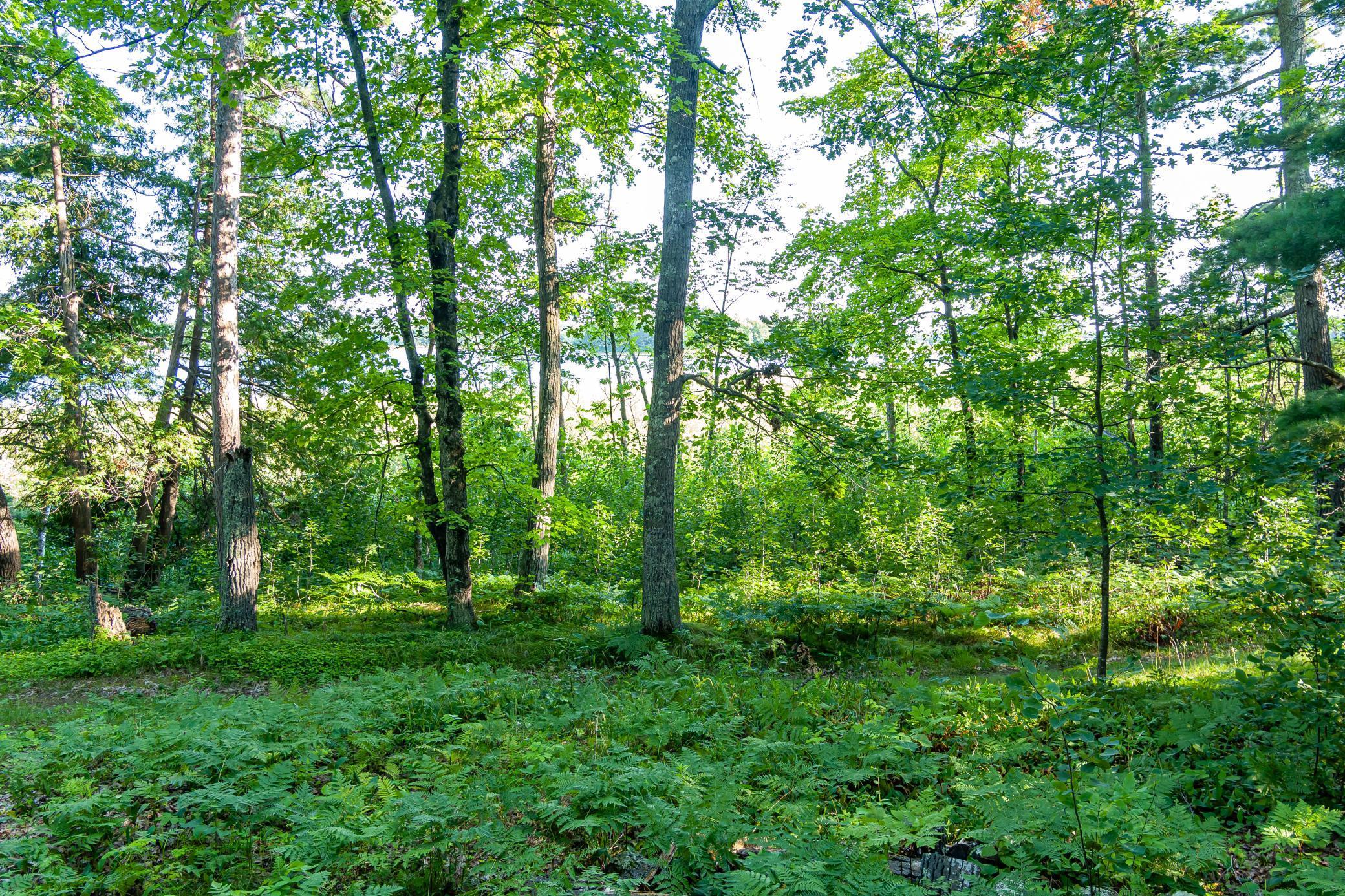 Tbd Lantern Lane Property Photo 21
