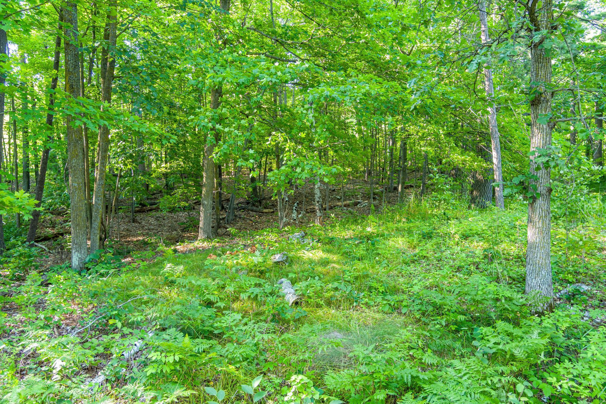 Tbd Lantern Lane Property Photo 22