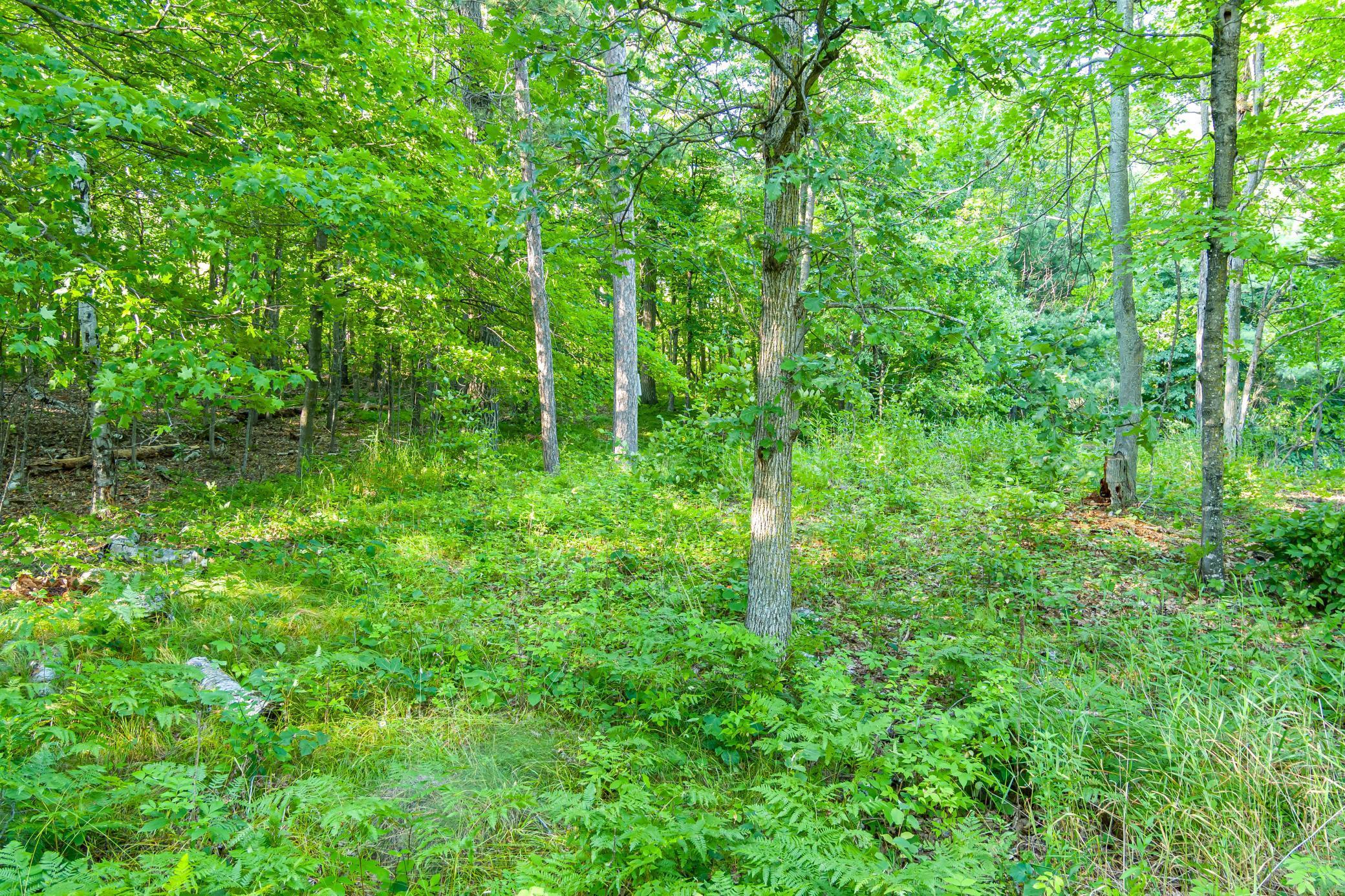 Tbd Lantern Lane Property Photo 23