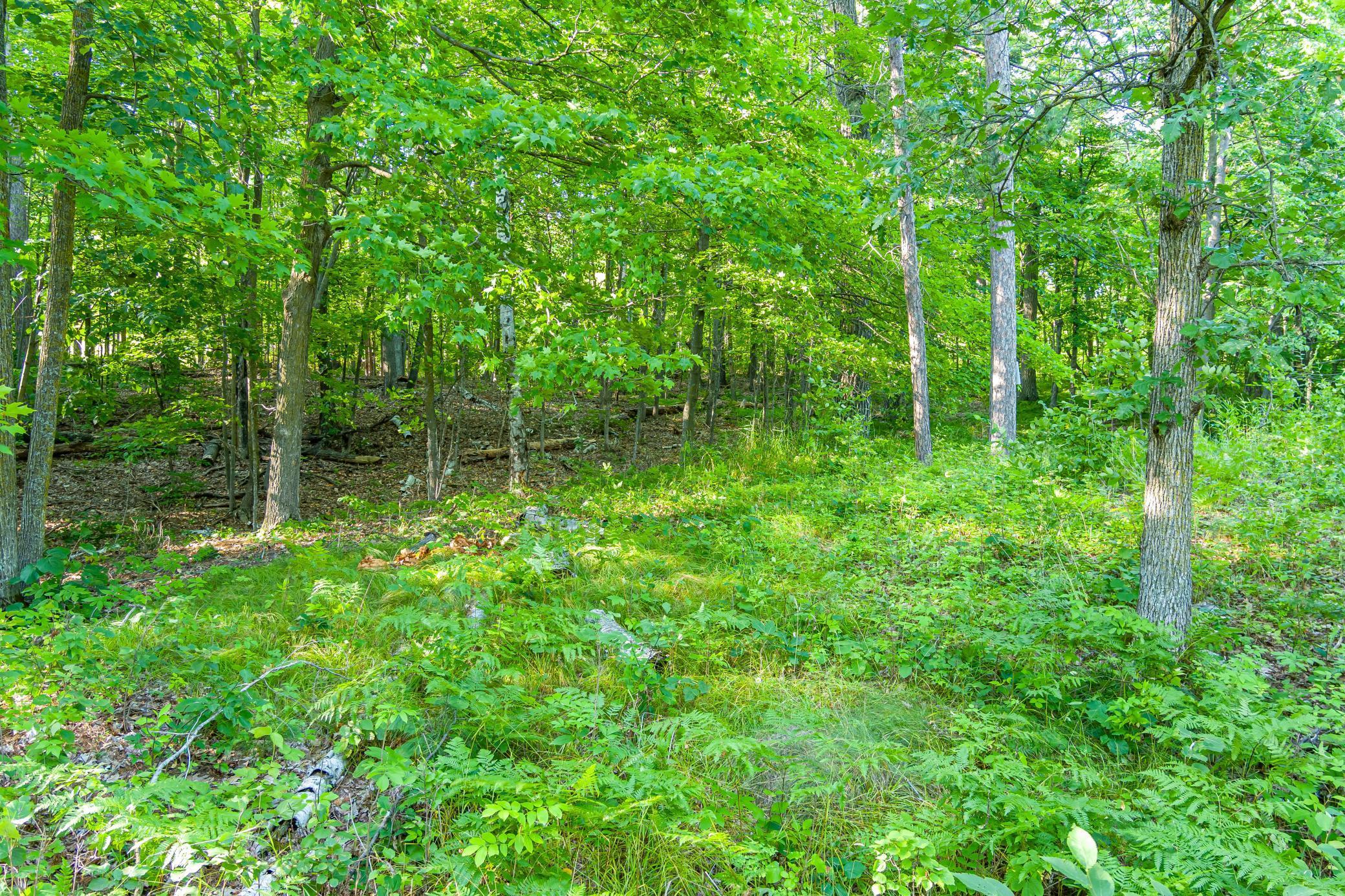 Tbd Lantern Lane Property Photo 24