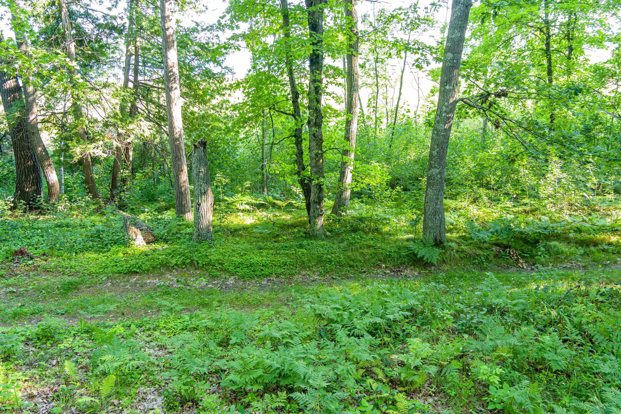 Tbd Lantern Lane Property Photo 27