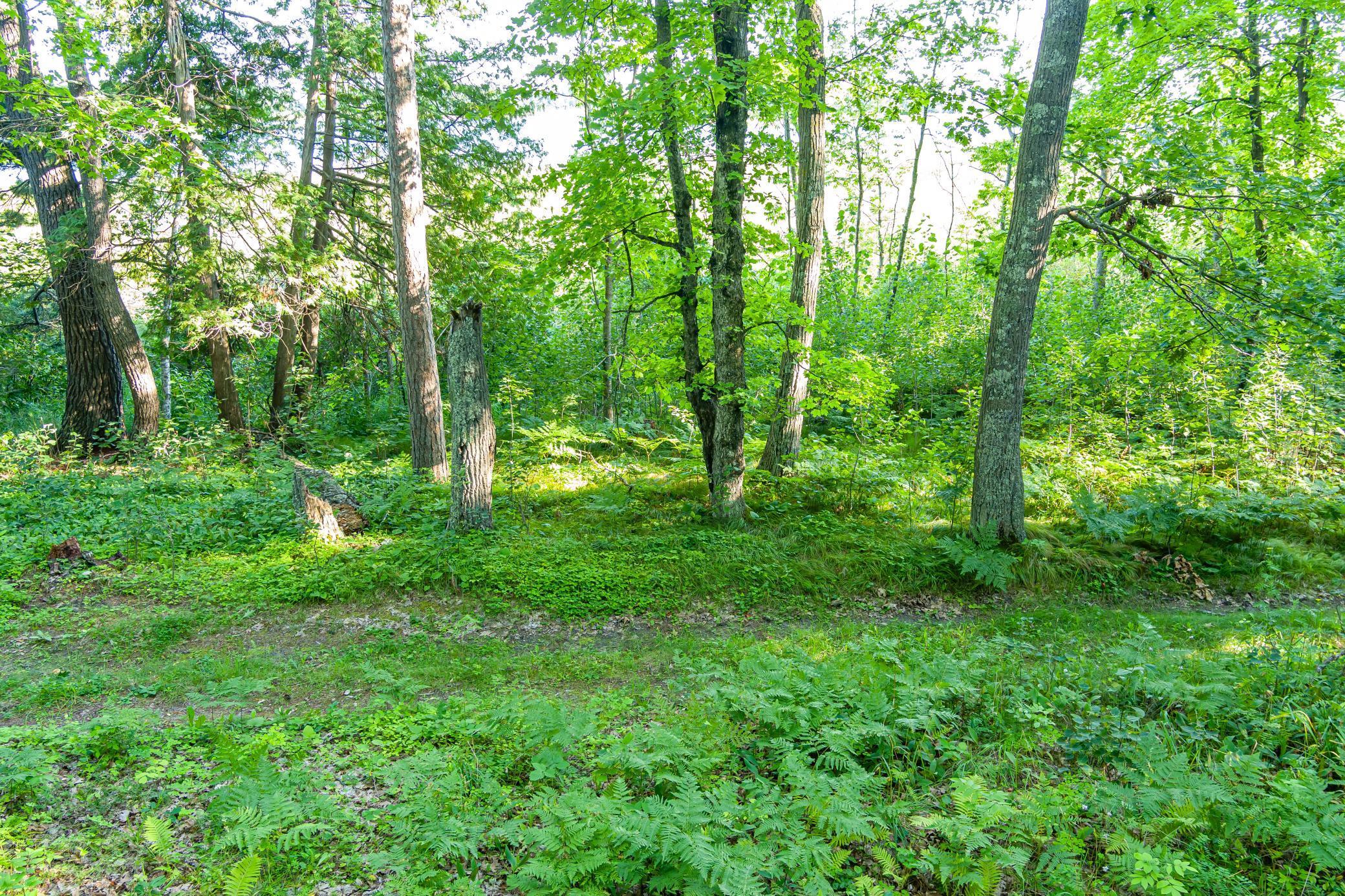 Tbd Lantern Lane Property Photo 28