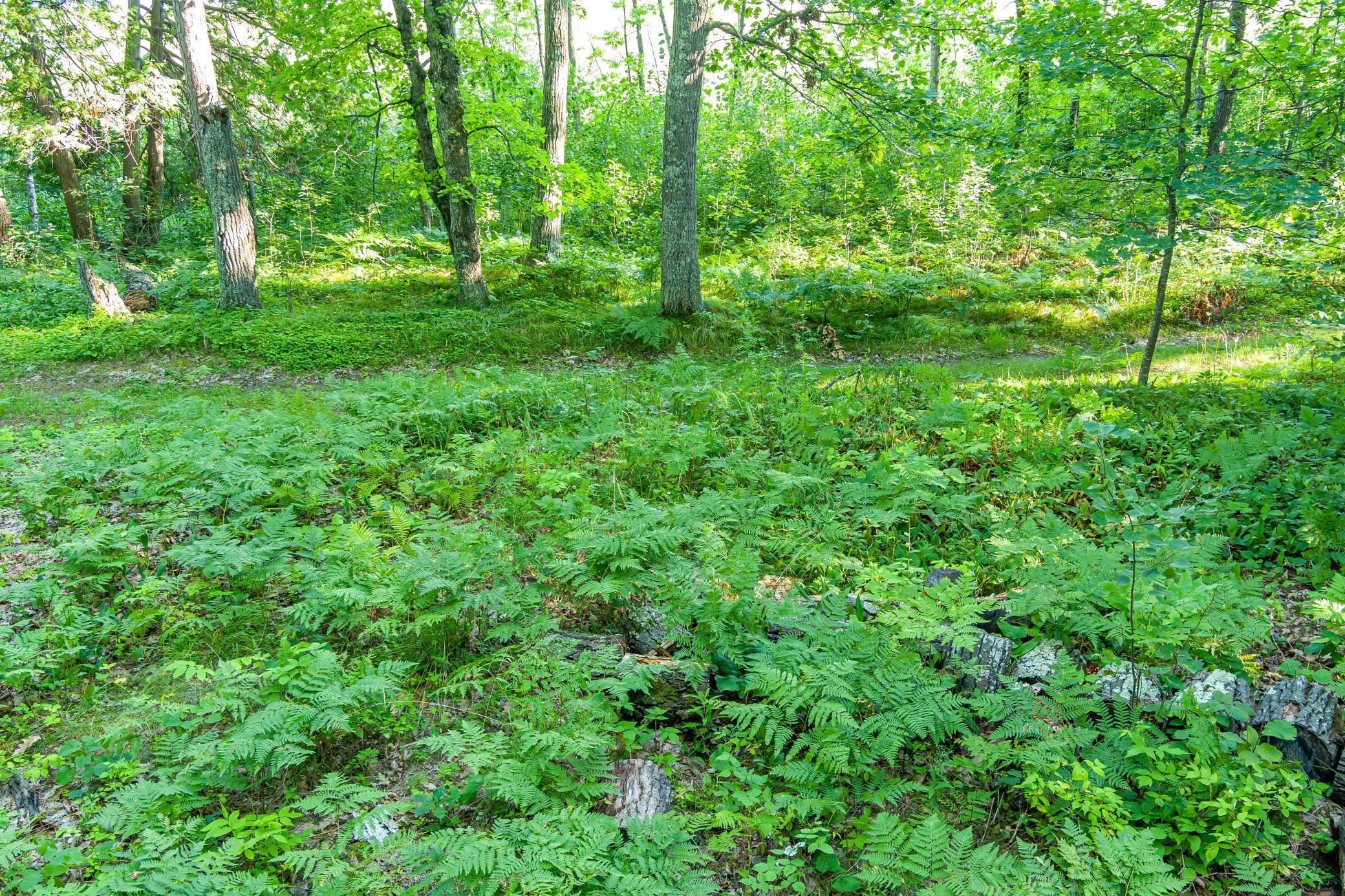 Tbd Lantern Lane Property Photo 29