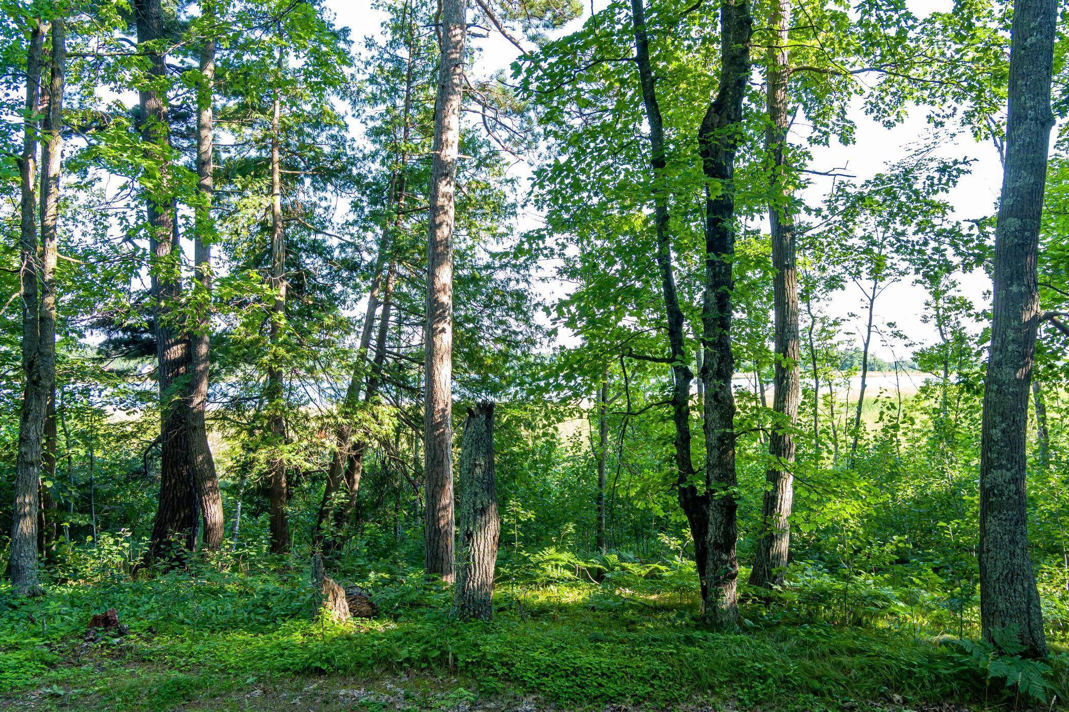 Tbd Lantern Lane Property Photo 30